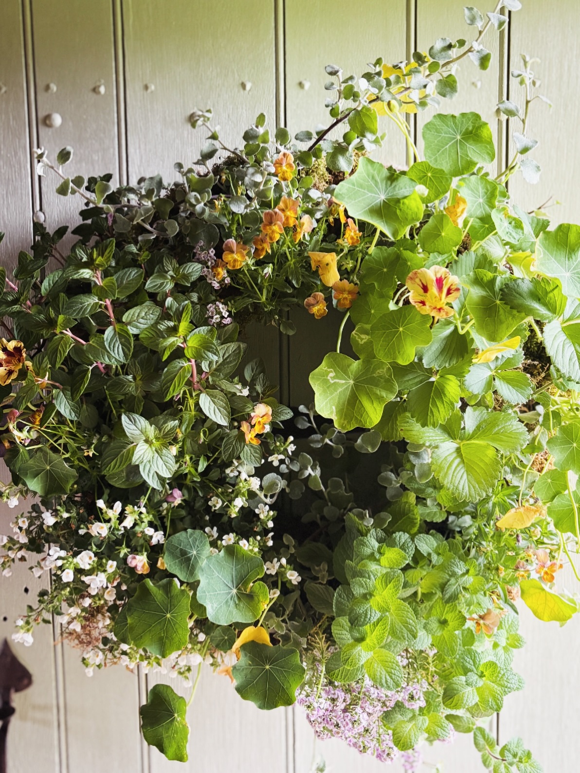 Spring Dreams, on a day that feels a bit Wintry still. The warmth will come.