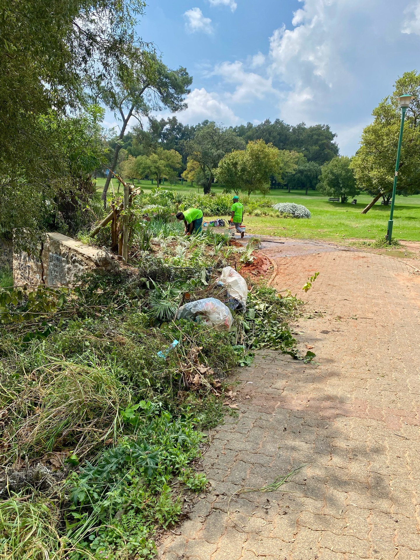 Nope. The gardens don’t just miraculously look wonderful at Zoo Lake. It’s thanks to the ZLUC gardening committee that they do and they were again back in action today, doing great work weeding the southern banks. 😎
They meet every Thursday from 8:30 - 12:00. Want to volunteer your time and show Zoo Lake some love? DM us and we’ll get you involved. 👊