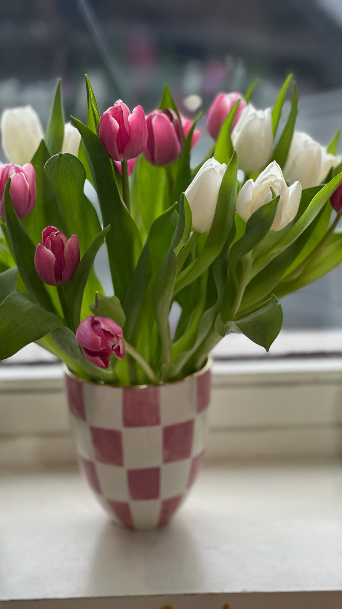 New season, new rhythm.
Spring is around the corner and if youโre a working parent, you already know what comes with it: school holidays to organise,
schedules to juggle,
and the quiet question of โ๐๐๐๐ ๐
๐ ๐ฐ ๐
๐ ๐๐๐๐ ๐๐๐ ๐๐๐
๐ ๐๐๐๐ ๐๐๐๐?!โ
Our Spring Art Camps in Zug and Thalwil are designed exactly for this.
๐จ full week where your child is creative, engaged, well looked after, and comes home with stories, skills, and things they actually made themselves.
While you work, they create.
Now is the moment to start planning: https://www.creative-you.ch/camps
(๐ด๐๐ ๐๐๐ ๐กโ๐ ๐ ๐ข๐๐๐๏ผ๐๐๐๐๐๐๐ ๐๐๐๐๐๐ก๐ ๐๐๐๐๐ ๐ฆ๐๐ข, ๐คโ๐ฆ ๐๐๐ก ๐ ๐๐๐ฃ๐ ๐ก๐ค๐ ๐กโ๐๐๐๐ ๐๐ ๐๐๐ ๐๐: ๐๐ข๐ ๐๐ข๐๐๐๐ ๐ถ๐๐๐๐ ๐๐๐ ๐๐๐๐๐๐๐ฆ ๐๐๐๐๐๐ ๐ก๐๐.)