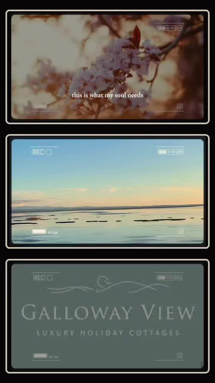 W H A T makes you happy? ✨ #gallowayview 🌱 #wheremagichappens #luxuryescape #dumfriesandgallowaylife