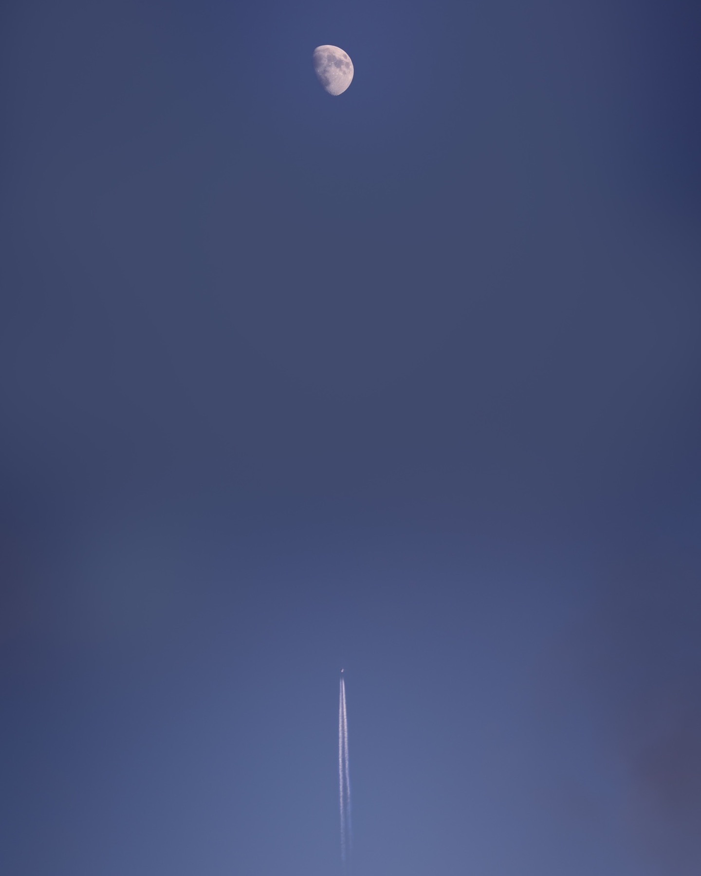 “To the Moon”🌔
Este post no tiene nada que ver con perros pero de vez en cuando también hago foto a paisajes naturales y cosas que me llaman la atención y este suceso en concreto, fue increíblemente raro!
En esta foto no hay un solo ápice de Inteligencia Artificial, ni si quiera de clonación. Únicamente es el resultado de juntar 3 fotos en una panorámica y ajustar el perfil de color y de luz📸
Visto con el ojo humano no daba la sensación de que el avión fuese en dirección a la Luna gracias a la curvatura de la Tierra pero al juntar las fotos en una panorámica perdemos ese efecto y ✨Magia✨
Esta foto se ha convertido en una de mis favoritas, incluyendo todas las que he tomado de perros, la metáfora que expresa, el momento, la luz, todo en un instante auténtico, sin necesidad de recurrir a IA para crearlo. Las maravillosas casualidades no siempre hace falta crearlas, a veces se encuentran también❤️🌈