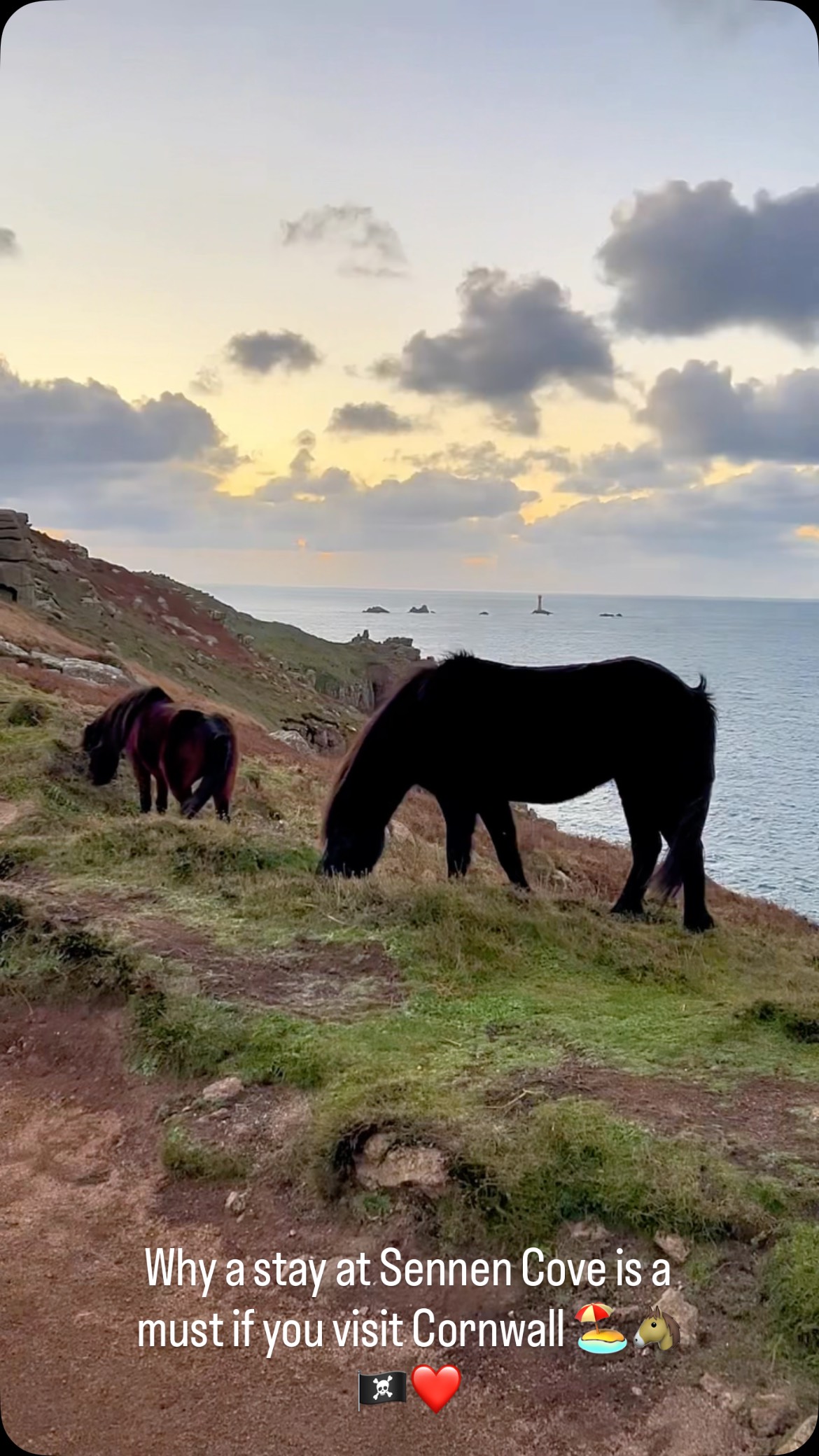 Why a stay at Sennen Cove is a must if you visit Cornwall 🏖️🐴🏴☠️❤️
#cornwall #cornwallvibes #cornishlife #sennencove #landsend