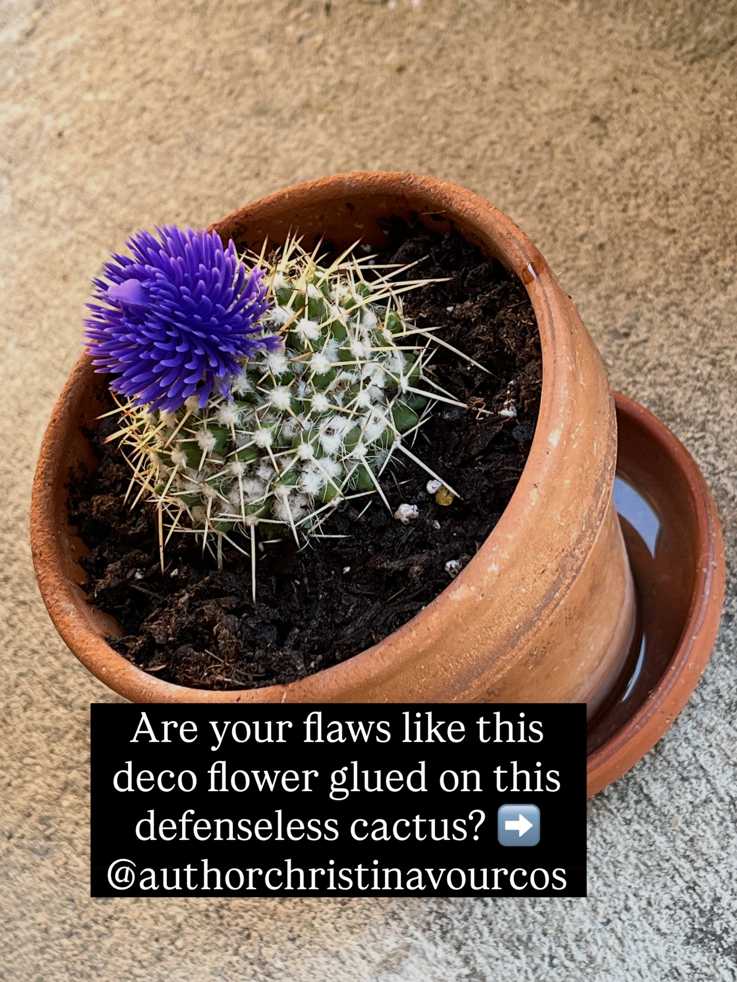 This poem (from my latest poetry book PONDERING REFLECTIONS) reminds me of my current poetry manuscript. I’m doing my best to publish my next poetry book as soon as possible. For now, sharing about my latest books can help support my author career. It can be leaving a review on Amazon or recommending my books. Or you can gift the therapeutic power of poetry with my books. #GreekLatina #IndiePoet #EcoPoetry