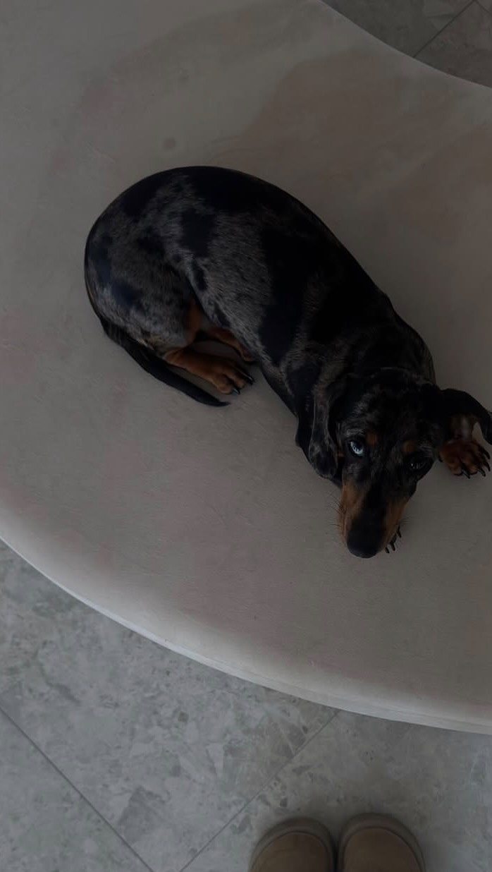 All the things that light us up… ✨🤍
.
.
.
#makeup #hair #perthsalon