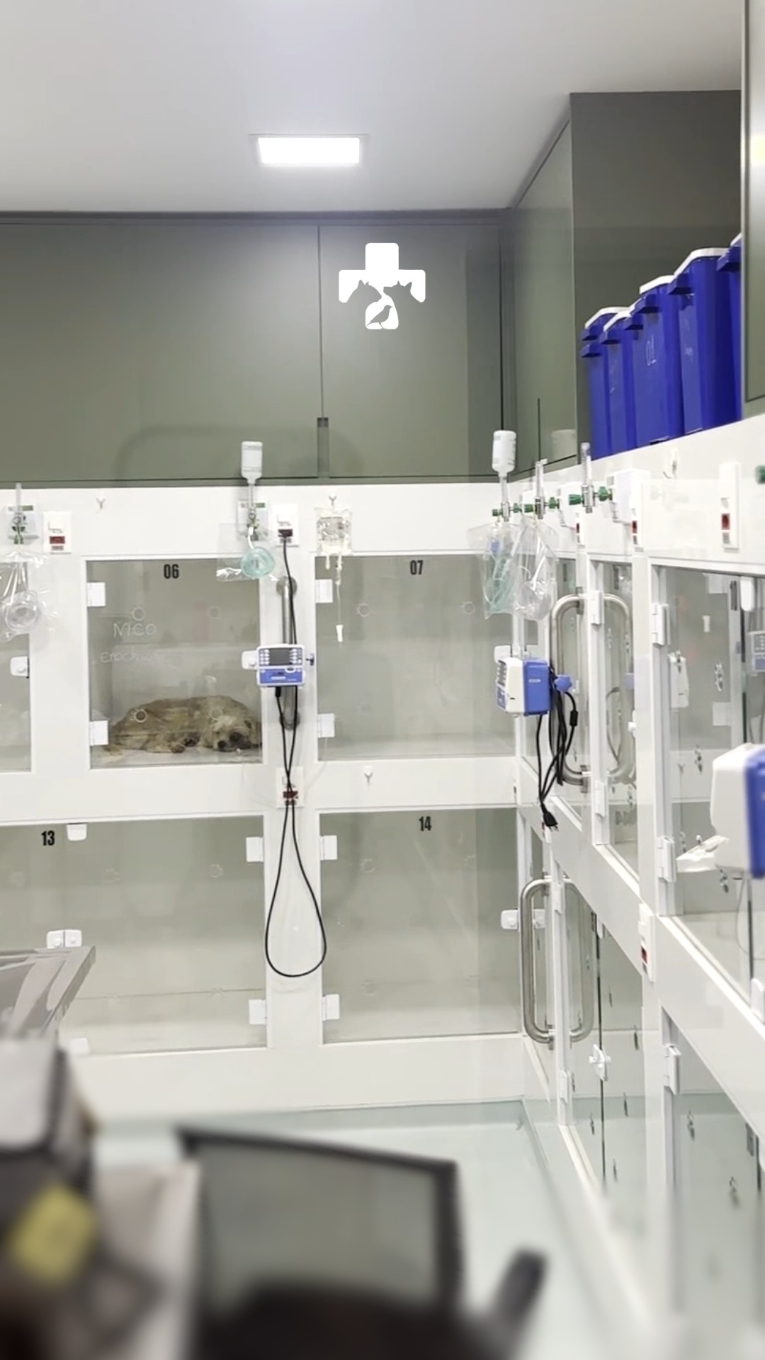 Quando um pet precisa de internação, é natural que o tutor tenha dúvidas e preocupações.
No Hospital Veterinário Alto Tietê, a internação hospitalar conta com monitoramento contínuo e acompanhamento exclusivo de médicos veterinários intensivistas, garantindo atenção médica durante todo o período de hospitalização.
Nossa estrutura possui ambientes separados para cães e gatos, manejo adequado para cada espécie e rotina de cuidados individualizada, sempre priorizando segurança, conforto e recuperação dos pacientes.
HVAT – cuidado especializado e estrutura hospitalar 24 horas.
Fale com a nossa equipe e saiba mais.
WhatsApp: (11) 94117-0339
#hvat #internacaoveterinaria #hospitalveterinario #saudepet #veterinariaarujá