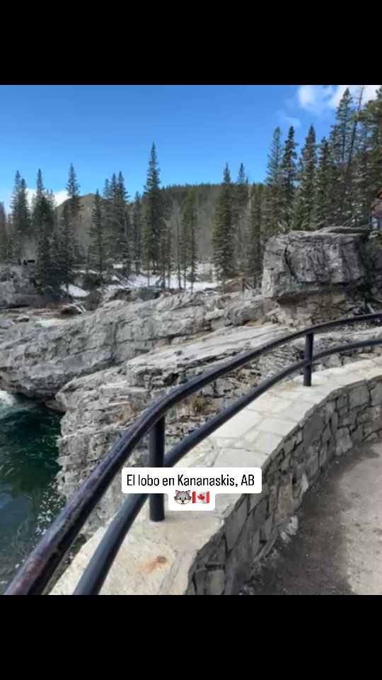 ... apareció el Lobito en el Kananaskis.
Lobo en su ambiente. Cocina y familia, mejor combinación imposible.
#arrozlobito #foodiemx #paellalovers #cheflife #privatechef