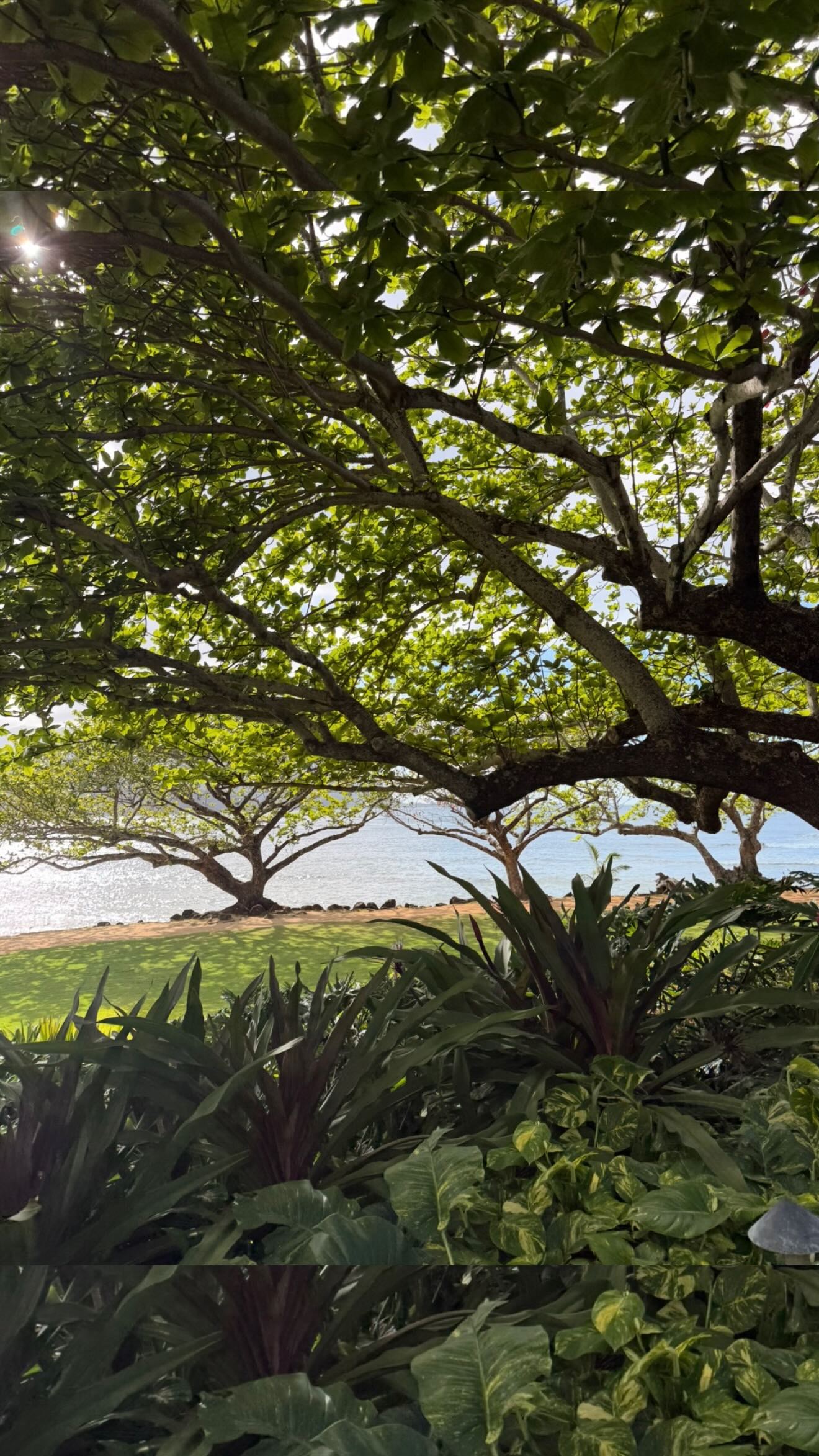 Saying the things I’ve been scared to talk about, in hopes it helps anyone know you’re not alone! I know I’m not the only one 🫶
I didn’t want to be the person that shared negativity in motherhood, but it’s NOT negativity to anyone who’s gone through it, it’s real honest life moments!
The hard parts are what have made me into the strong and confident person I am turning into!
#postpartumsupport #postpartumlife #postpartumdepression #newmomsupport #relatablemom