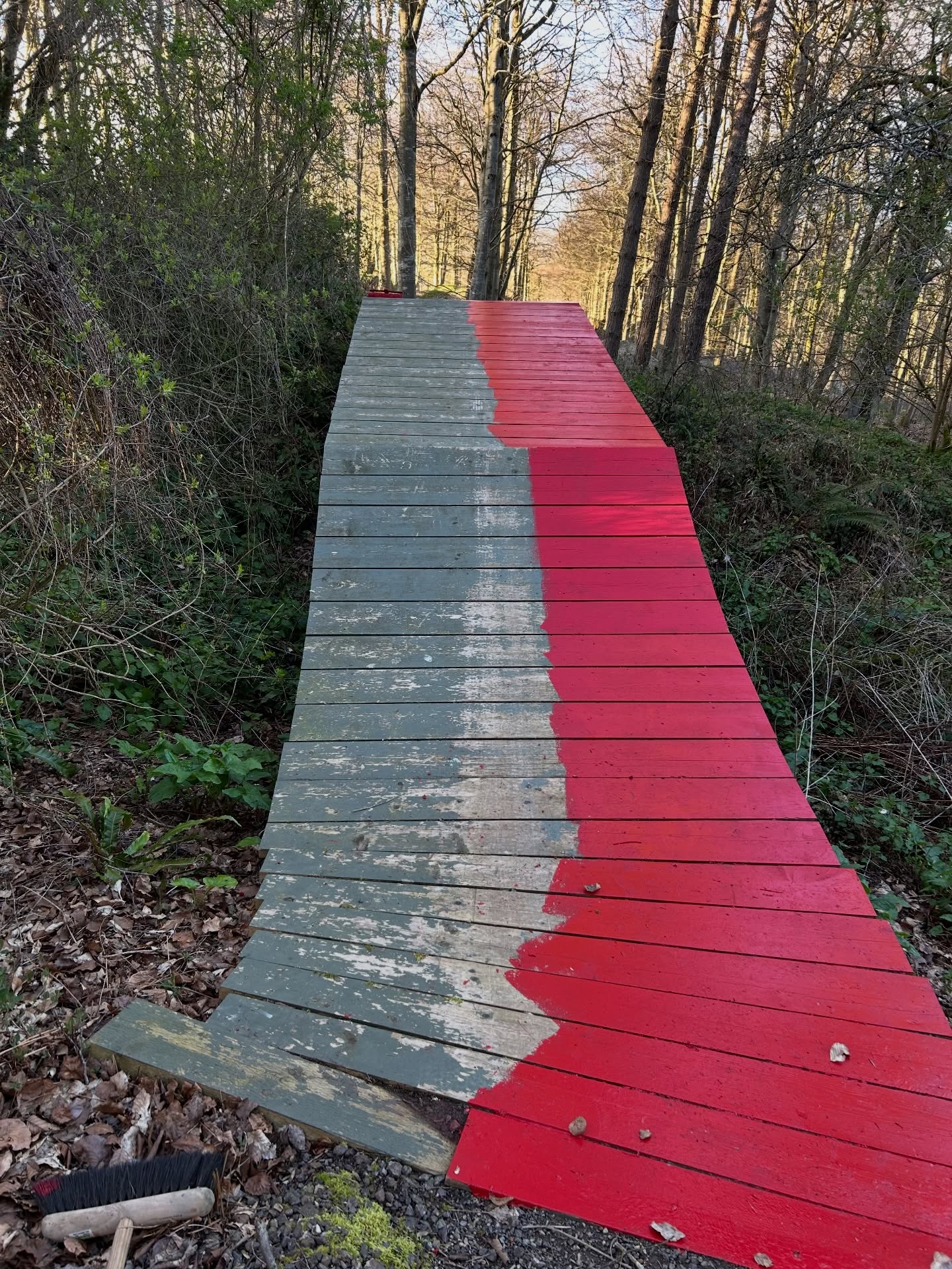 I am not sure about my colour choice. It’s brighter than I thought !! Park almost ready for opening this weekend. #mucoff #lezyne #dmr #okefordhillbikepark