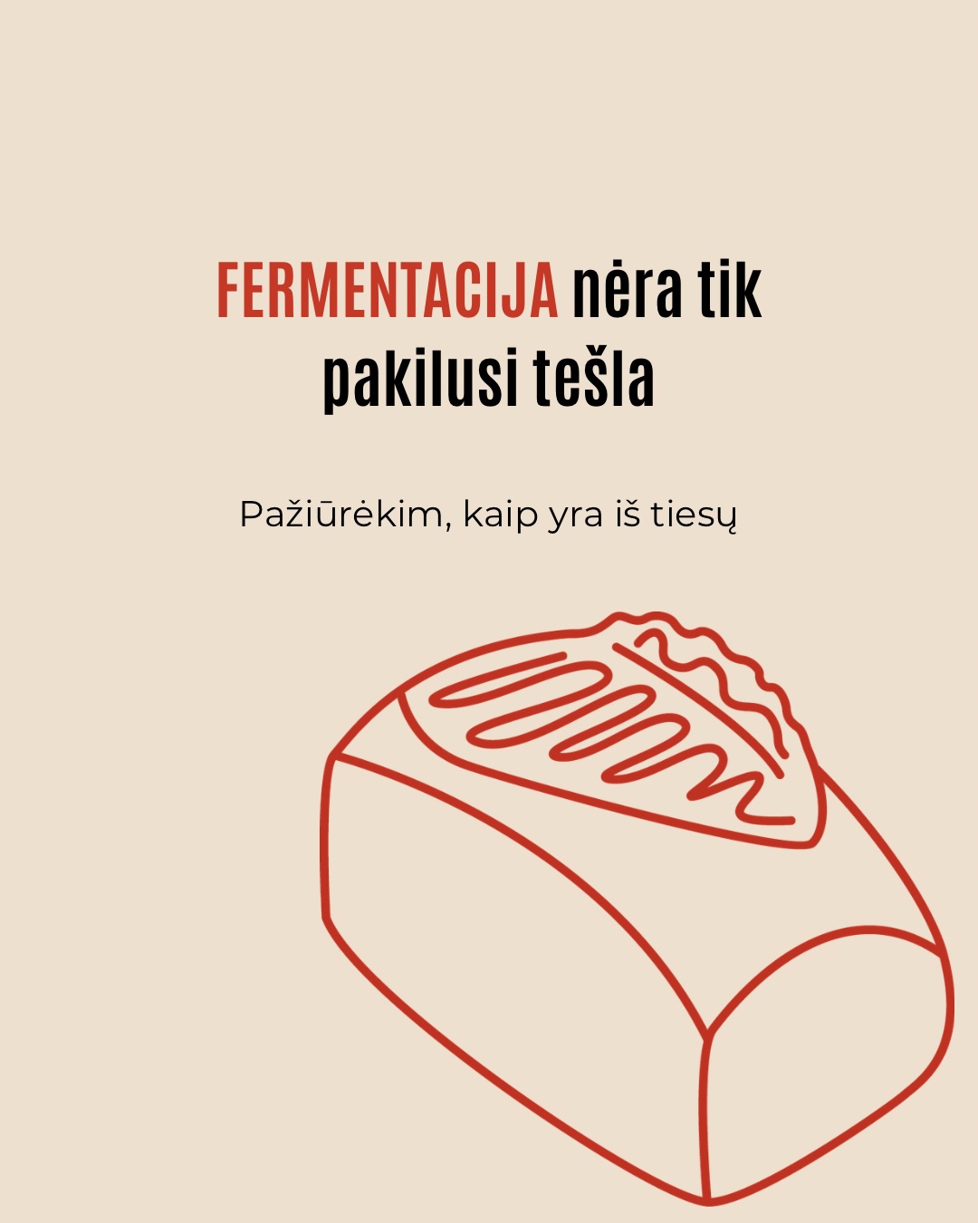 Kepant lengva pasitikėti tuo, ką matome.Tešla pakilo – atrodo, viskas gerai, tačiau galutinis rezultatas ne visada būna toks, kokio tikėjomės.Tokiais atvejais problema dažniausiai slypi ne recepte,
o procese, kurio nematome.Būtent jis ir lemia, kokia bus kepinio struktūra.Ar esate pastebėję, kad kartais tešla pakyla, bet galutinis rezultatas vis tiek ne toks purus, kokio norėtųsi?