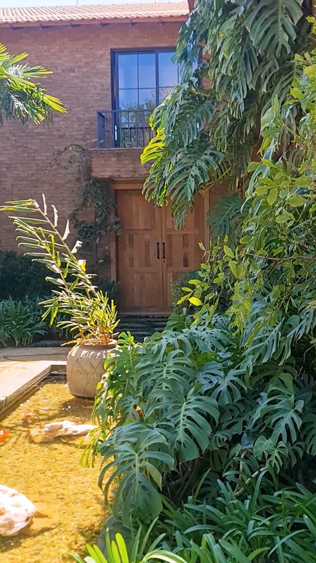 Por trás de cada resultado, há muito planejamento e cuidado ✨🍃
Quer um projeto desses no seu espaço?
Fale com a Anni Verdi e transforme sua casa em um verdadeiro refúgio 🌿✨
Link na Bio ➡️
.
.
#paisagismo #decoração #homedecor #gardendecor #anniverdi #odilonclaro #plantas