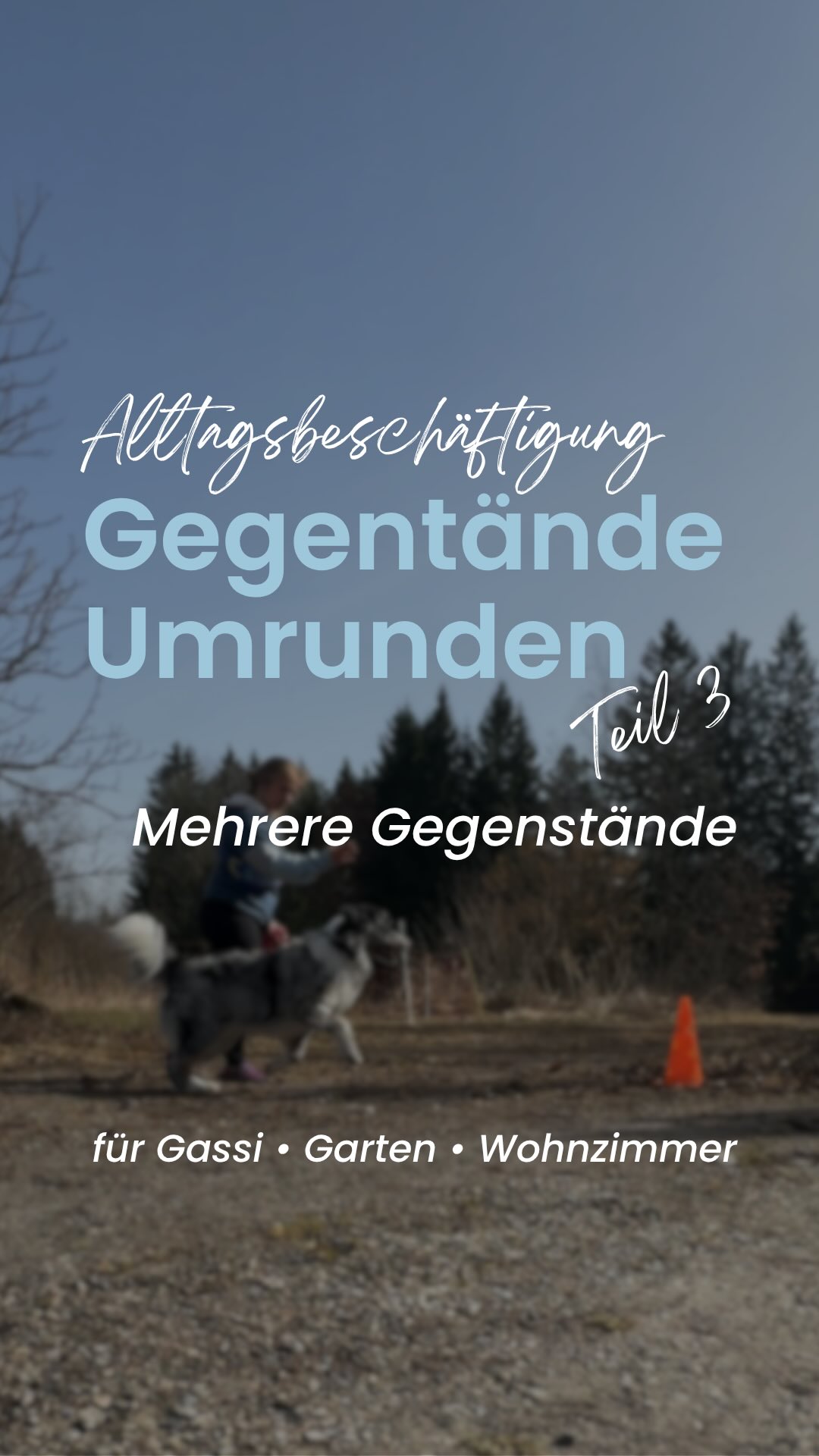 Gegenstände Umrunden Teil 3/3
Du kannst das Umrunden mit beliebig vielen Gegenständen machen.
👉🏼 2 - 8er Bewegung
👉🏼 3 - Wechsel zwischen außen herum & 8er
👉🏼 4 - außen rum und verschiedene 8er
Nächste Woche gehts weiter mit neuen Beschäftigungsideen!
#beschäftigungsidee #hundetraining