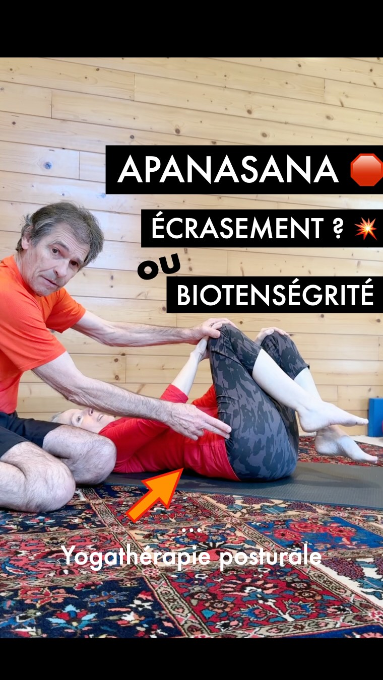 Apanasana🛑
Biotenségrité ou Écrasement ? 🏛️⚖️
Reconsidérons cette Asana.
Dans cette vidéo je pratique Apanasana, une posture souvent vendue comme la panacée pour le dos et la digestion... mais la réalité anatomique est tout autre. 🚧⚙️
⚠️ La fausse impression de bien-être
Pourquoi se sent-on « bien » sur le moment ? Parce que ramener les genoux libère artificiellement les tensions des petits muscles paravertébraux.
Le piège : C’est justement la rétroversion du bassin qui crée la douleur de ces muscles en premier lieu ! On calme le symptôme, mais on aggrave la cause. 🔄🚫
🛑 Le contresens digestif
On vous présente souvent Apanasana pour « masser les organes ».
La réalité : En compressant ainsi l’abdomen, on ne fait que remonter le bol alimentaire. Ce n’est pas de la digestion, c’est de la mise sous pression inutile. 🤢📉
Le verdict de l’aplomb :
La flexion de la hanche s’arrête physiologiquement autour de 90°. 📐⚖️
Au-deçà : 🔹 Le bassin bascule.
🔹 La colonne est entraînée.
🔹 Les disques intervertébraux subissent un écrasement pur et simple. 💥🦴
La solution : Ne cherchez pas à « gommer » votre cambrure.
Écartez les genoux, maintenez l’ancrage sacrum-coccyx et sentez le poids de vos coudes. ✨⚓
C’est là que la BIOTENSÉGRITÉ prend le relais.
La structure se porte d’elle-même, sans écraser ni les disques, ni le système digestif. 🏛️🌀
On déconstruit les dogmes !
#CathEtSergeYoga #apanasana #YogaTherapie #Biotensegrite #formation
