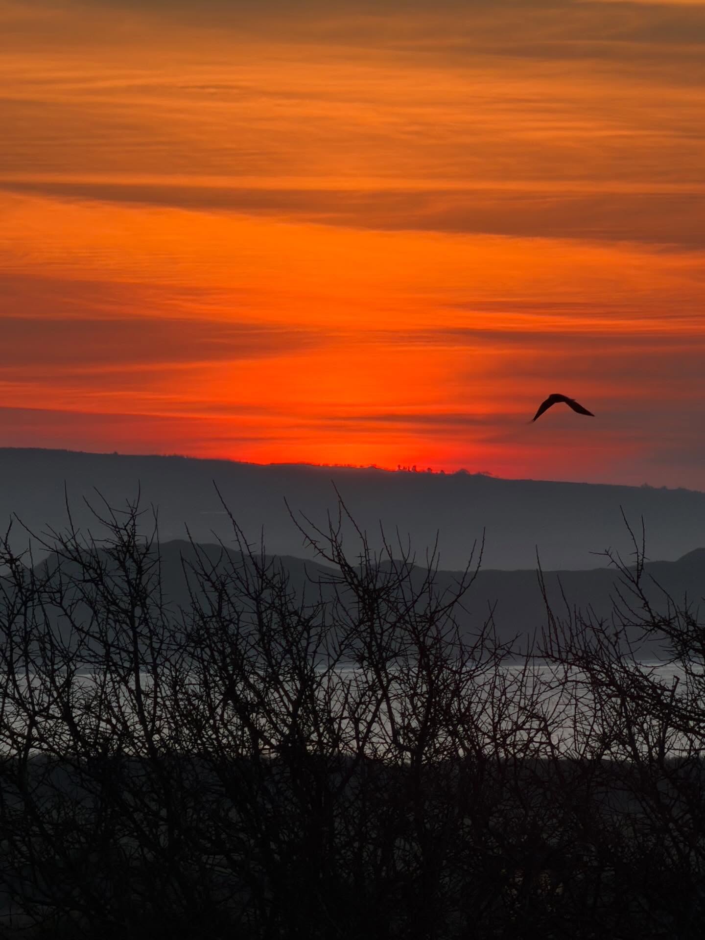 Today is the Spring Equinox. Half daylight half darkness and the turning, to more light. Wishing you moments of gratitude and joy 🌍🌱☀️
