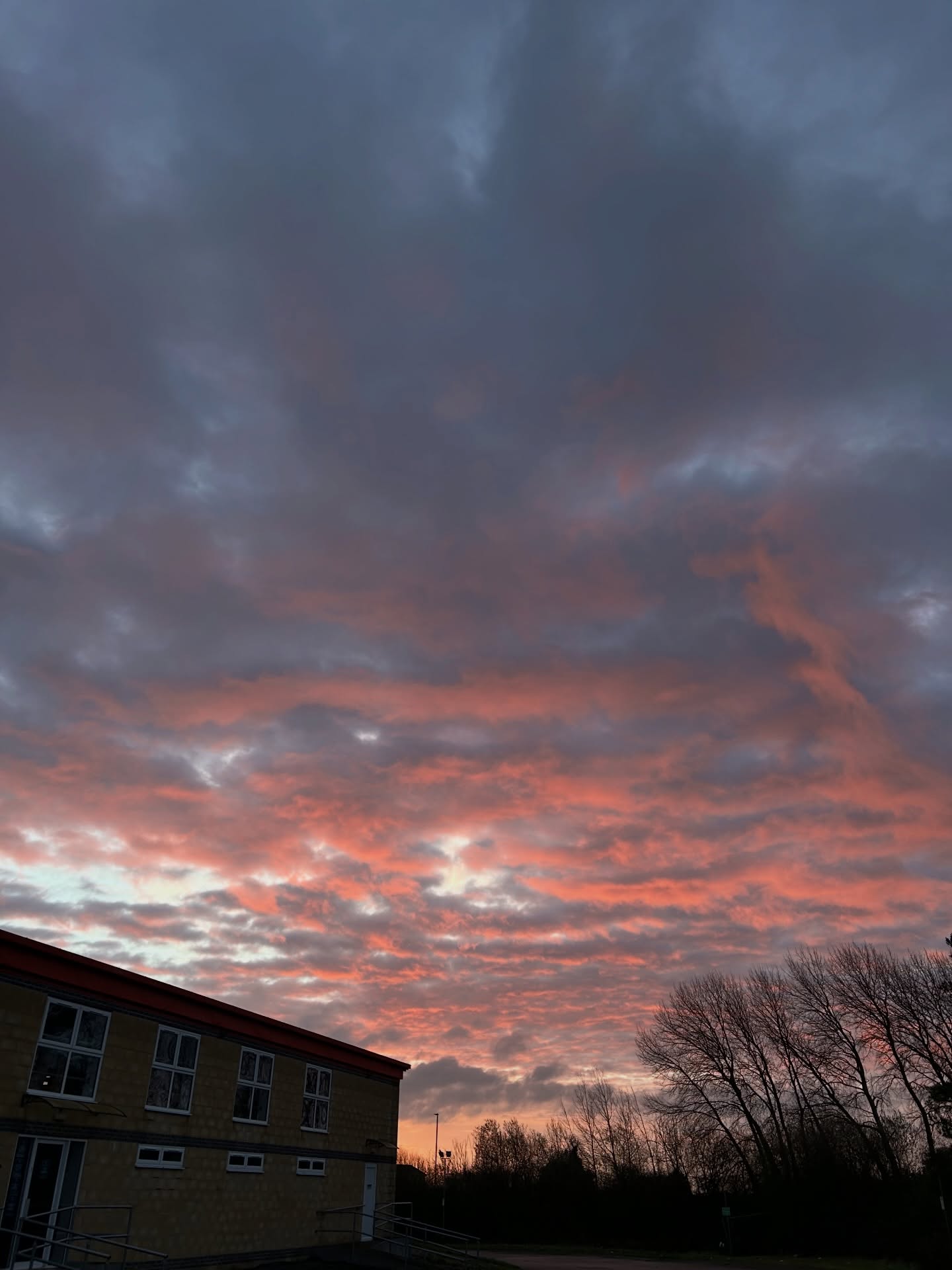 Weekly Dump 🗓️🤳
To do list smashed, a lot of spinning plates, but not a lot of training 🫠.
Onto a busy set of 7 🫡🗓️
#sophitness #weeklydump