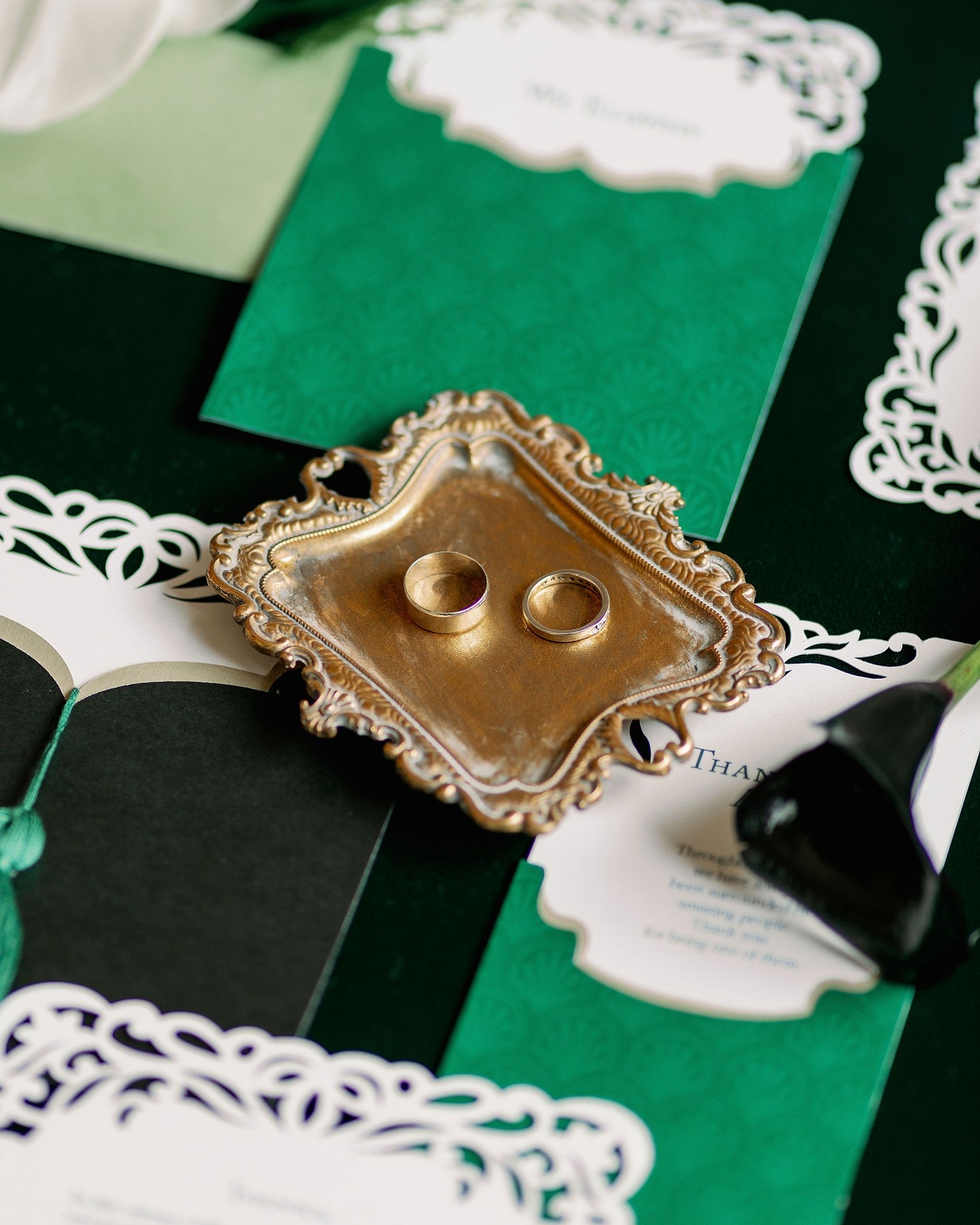 Even in an elopement, connections matter. Tailor-made paper goods provide an opportunity to celebrate the connection you have with your closest friends and family. An invitation or a Thank You card becomes a thoughtful gesture, expressing the joy you feel in having them share in your moment, no matter how intimate the gathering may be. Let's share the love!
Naples Wedding & Event Planner: @naplespartyplanner
Venue: @naplesbayresortweddings
Photographer: @fantasmic_photography
Florist Designer: @laroseflb
Paper Goods: @timeless.impress
-
Incluso en un "elopement" las conexiones son importantes. La papelería hecha a medida brinda la oportunidad de celebrar la conexión con los amigos y familiares más cercanos. Una invitación o una tarjeta de agradecimiento se convierten en un gesto reflexivo que expresa la alegría al compartir ese momento especial, sin importar cuán íntima sea la reunión.
-
#timelessimpress #bespokedesign #attentiontodetail #weddingstyle #engagedcouples #bridetobe #luxuryweddingplanner #luxurywedding #destinationwedding #weddingphotographer #weddingphotography #weddings #weddingday #naplesfloridaweddingdesigner #naplesdesigner #napleseventplanner #naplesweddingflorida #naplesflorida #naplesdestinationwedding #naplesfloridaweddingplanner #naplesfloridapartyplanner #naplesweddingplanner #naplespartyplanner #weddingplanner #eventplanner #destinationweddingplanner #weddingcoordinator #timelesselegance #dreamteam #styledshootsacrossamerica