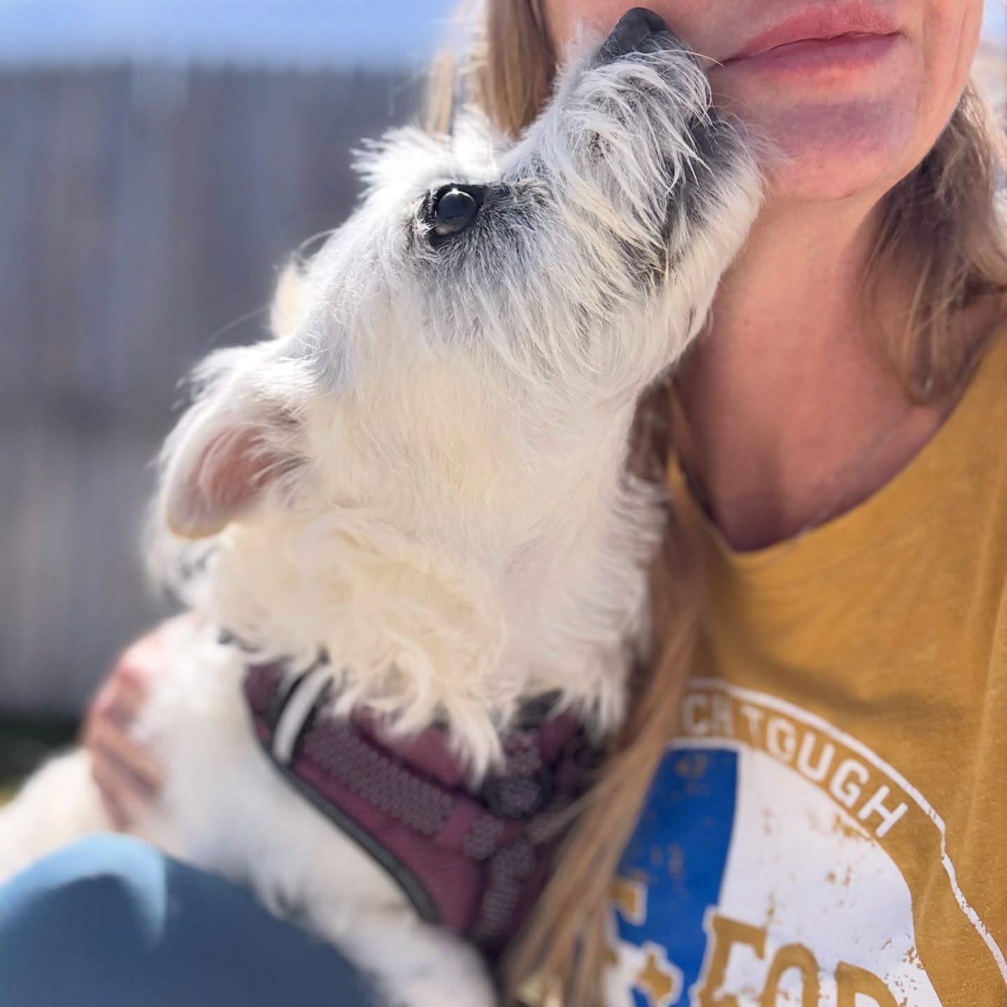 Lily 🥹💓
🐾Boerne Pet Sitting
📍Boerne - Fair Oaks Ranch - Dominion - Leon Springs
📱Book now! DM or call 830-837-3135
#boerne #fairoaksranch #petsitting #petsitter #dogwalk