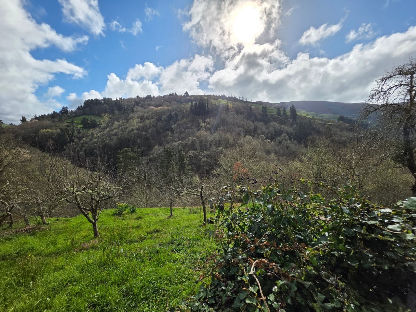 Una mañana fría, pero espléndida, en la que el sol le gana por momentos a las nubes...
Todo preparado para nuestra #VisitaGuiada a las 12, hoy con grupos desde #Uviéu / #Oviedo y #Madrid.
Buenos días desde #Besullo