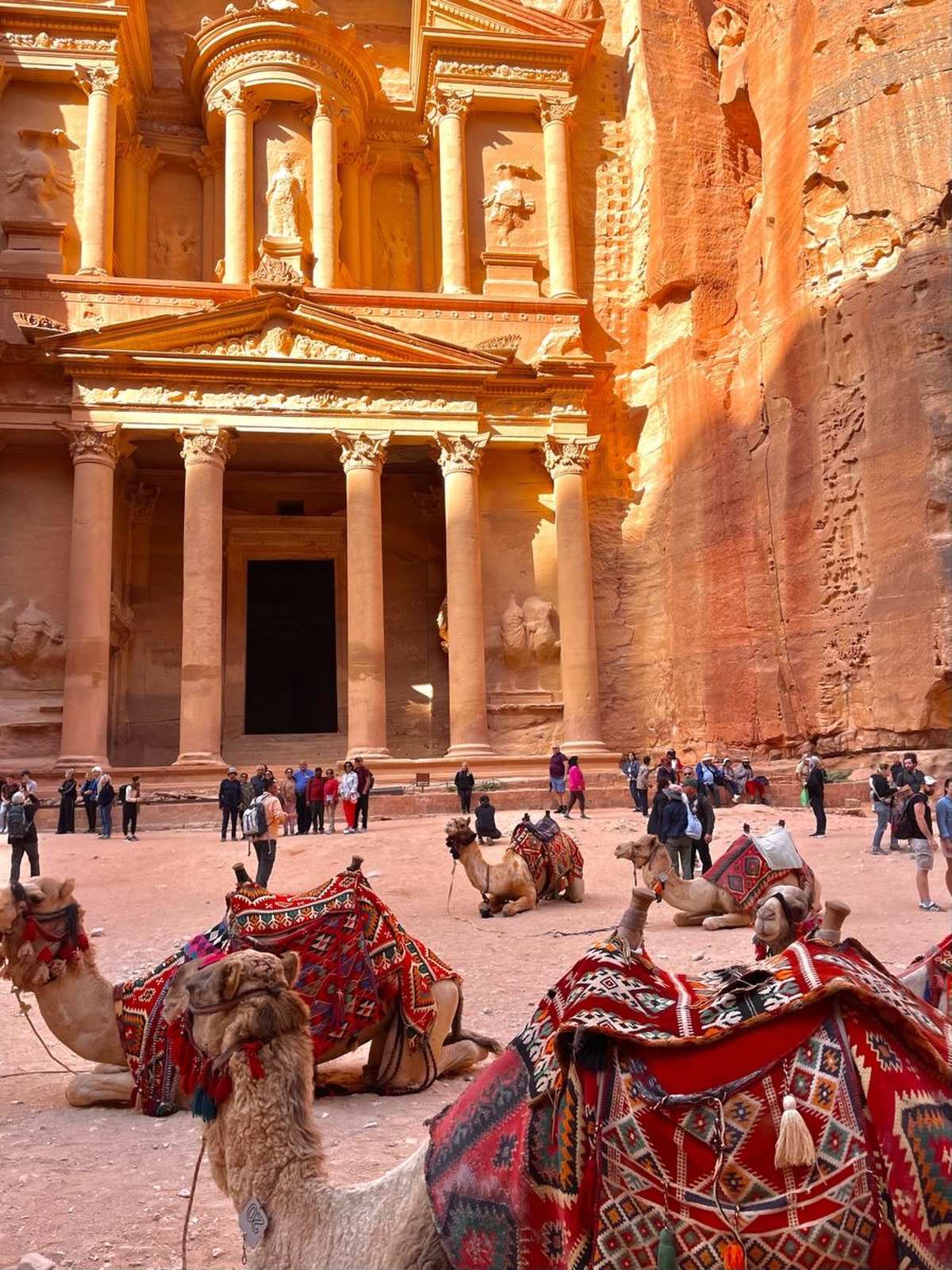 Lost in the timeless beauty of Petra - a true masterpiece carved in stone and proudly one of the Seven Wonders of the World.
#petra #travel #jordan #explore #7wonders