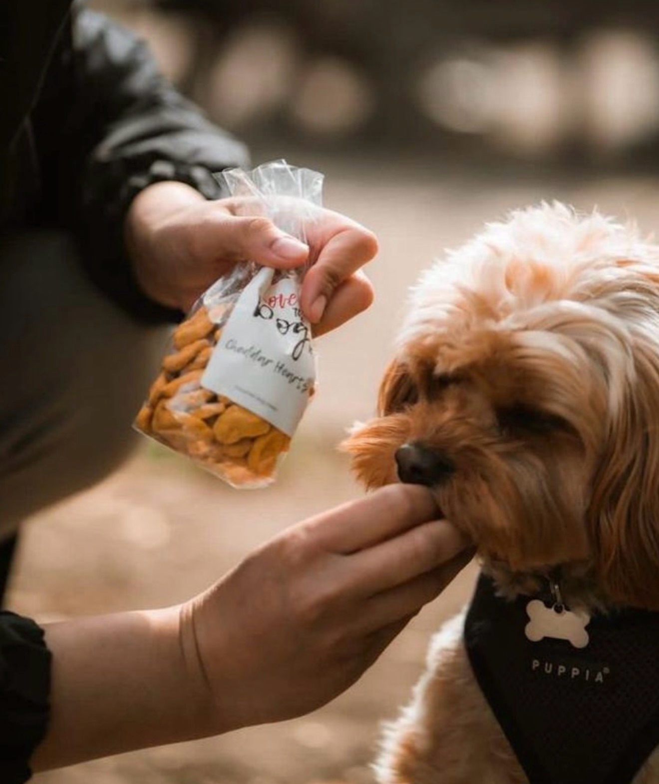 Coffee for you, treats for them 🐶
We’re proudly dog-friendly - and yes, we’ve got homemade goodies from @jolovethedog your pup will love 🦴
#northlondon #dogfriendlycafe #highgate #enfield #smallbusiness