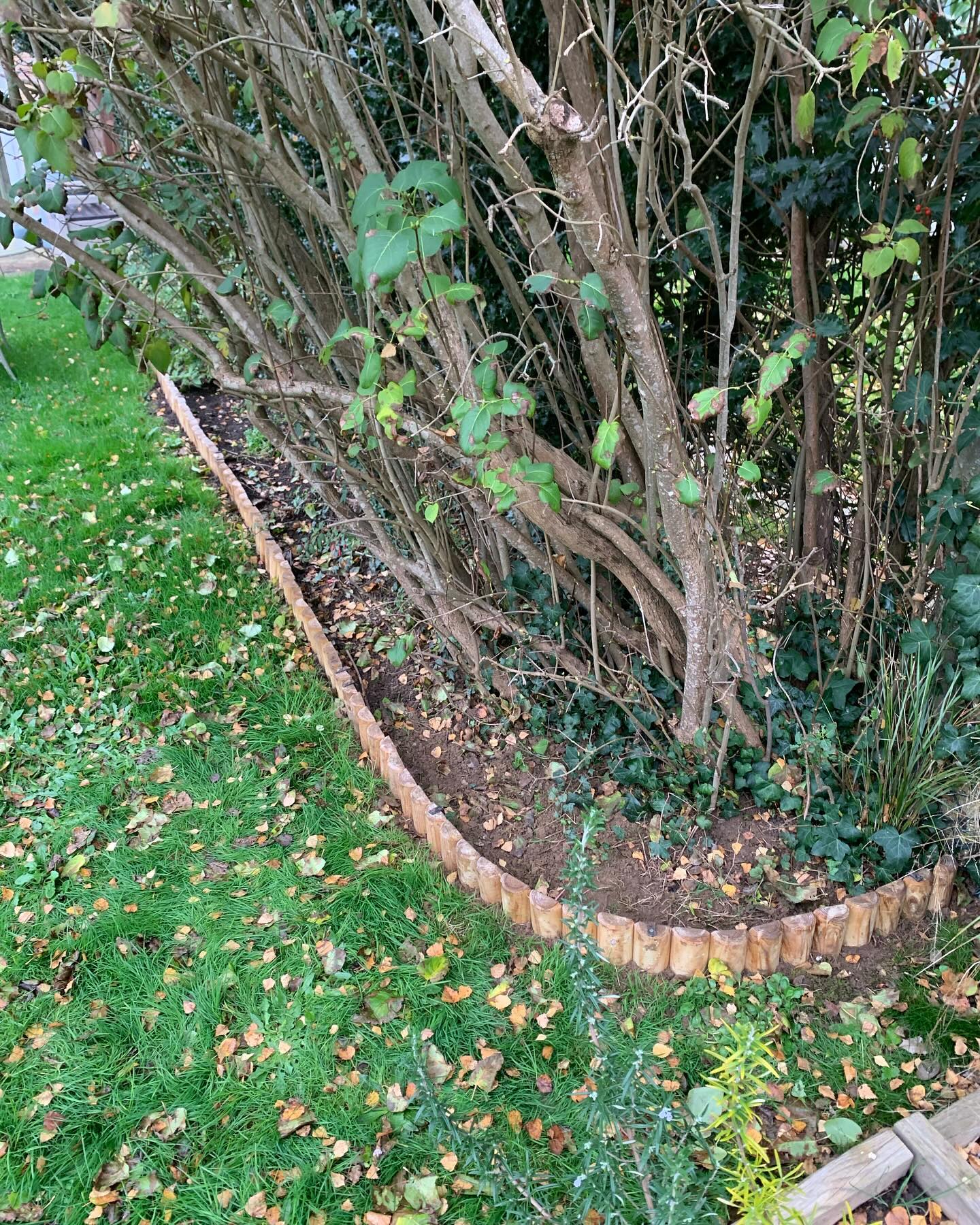 Replacing rotten log roll edging
#highamwoodgardens #gardenertonbridge #gardeningtonbridge #plantloversofinstagram #pollinatorgarden #gardening #gardensofinstagram #englishgardens #plantlife #gardenborder #garden #gardenideas