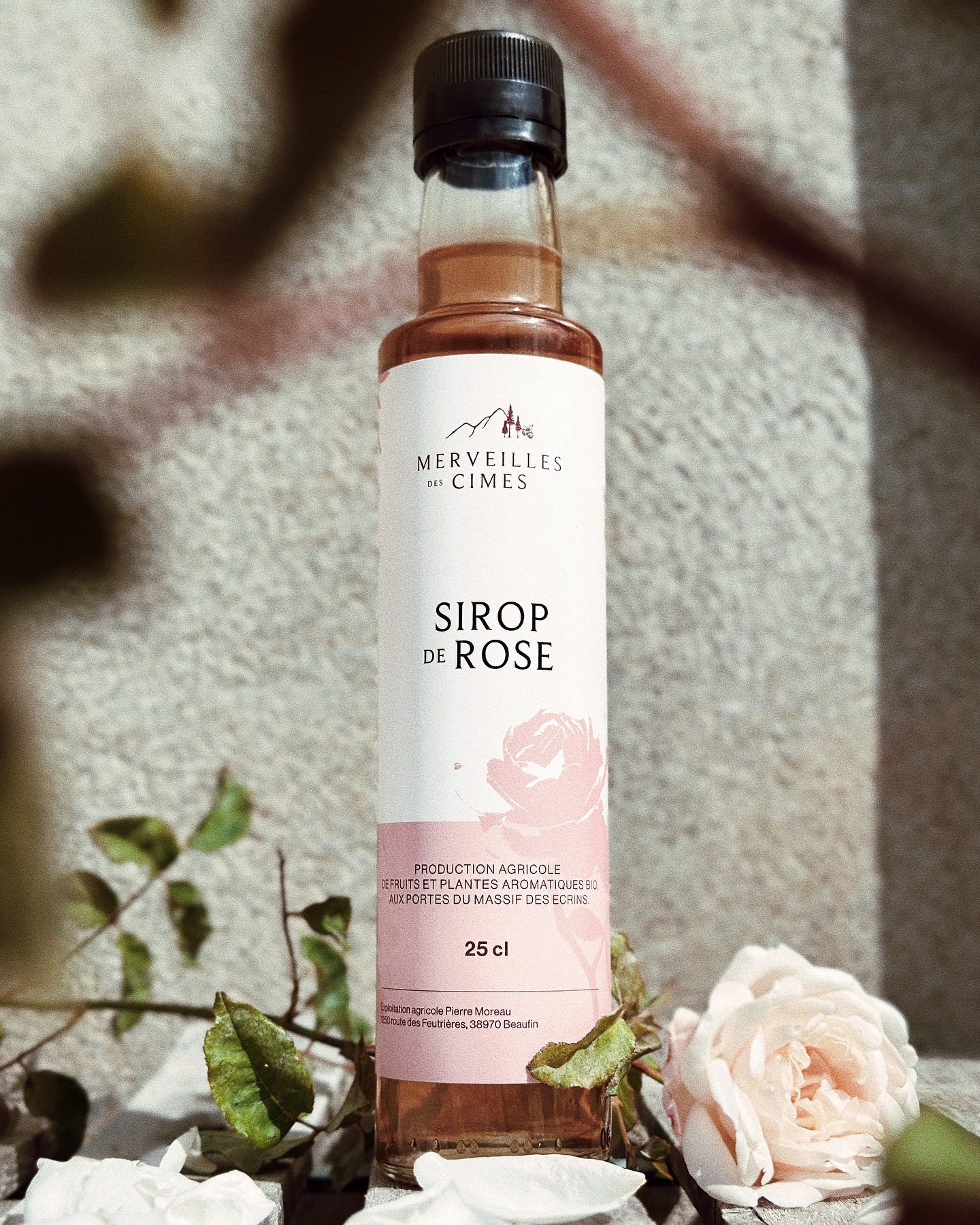 🔔 ÉVÈNEMENT 🔔
Dégustation des produits Merveilles des Cimes à l’Intermarché de Vizille 🛍️✨
Ce Vendredi 20 décembre de 9h à 12h, à l’occasion d’une animation spéciale organisée dans le magasin, venez découvrir l’ensemble des produits Merveilles des Cimes !
Au menu : Confits, confitures, sirops, verveine…et bien d’autres encore 🌱🍓
On vous attends nombreux ! N’hésitez pas à mettre un rappel dans votre agenda pour ne pas louper l’événement et à partager autour de vous 🫶🏻
#merveillesdescimes #produitslocaux #intermarchévizille #vizille #agriculturebiologique #produitduterroir