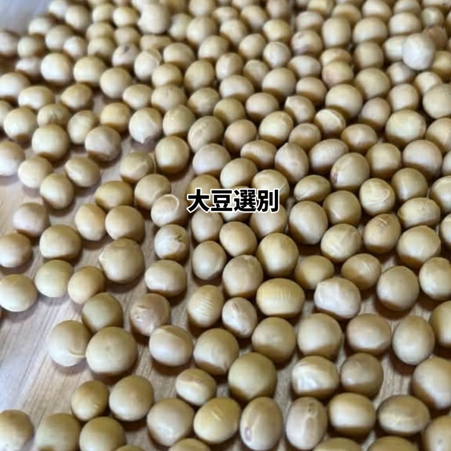今回は、以前より興味のあった🟡味噌作りを知合いの料理講師をお願いして味噌作り体験を開催しました✨
思ったより難しくなかったかな🌀
今回は自家製大豆しか使えませんでしたが
次回は自家製無農薬大豆及び無農薬米で発酵させた麹を使えるよう頑張ります🙂↕️
#SUGURONOUEN
#味噌作り
#大豆
#無農薬
#麹