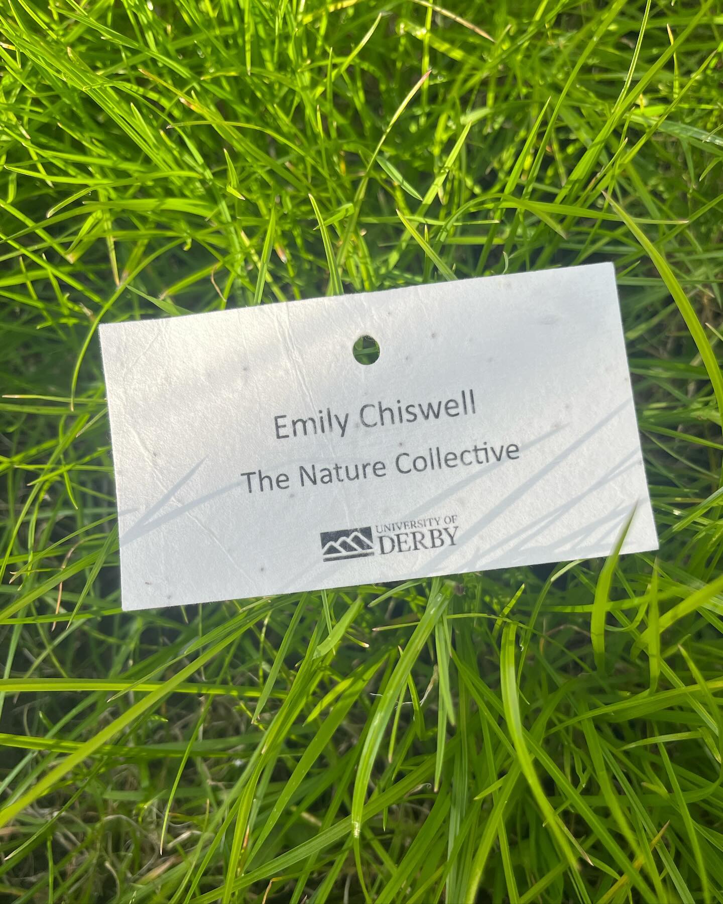 nature connection conference @derbyuni
that was a vibe
adventures with land surrounding before too
doing the do, being the be
connecting
communing
conversation
collaboration
…and research
S O much research
supporting & evidencing
what we know in our bones
yet so often need reminders of
for our bodies
for our psyches
to remember & to feel it to be true
few of the insta handleable highlights
to get on your radar
@findingnature_
@wylderapp
@samwisegandy
@naturalacademy_ecopsychology
@farmsforcitychildren
@andarachforesttherapy
#natureconnectionsconfrence2024 #derbyuni #natureconnection #ecopsychology #ecotherapy #nature