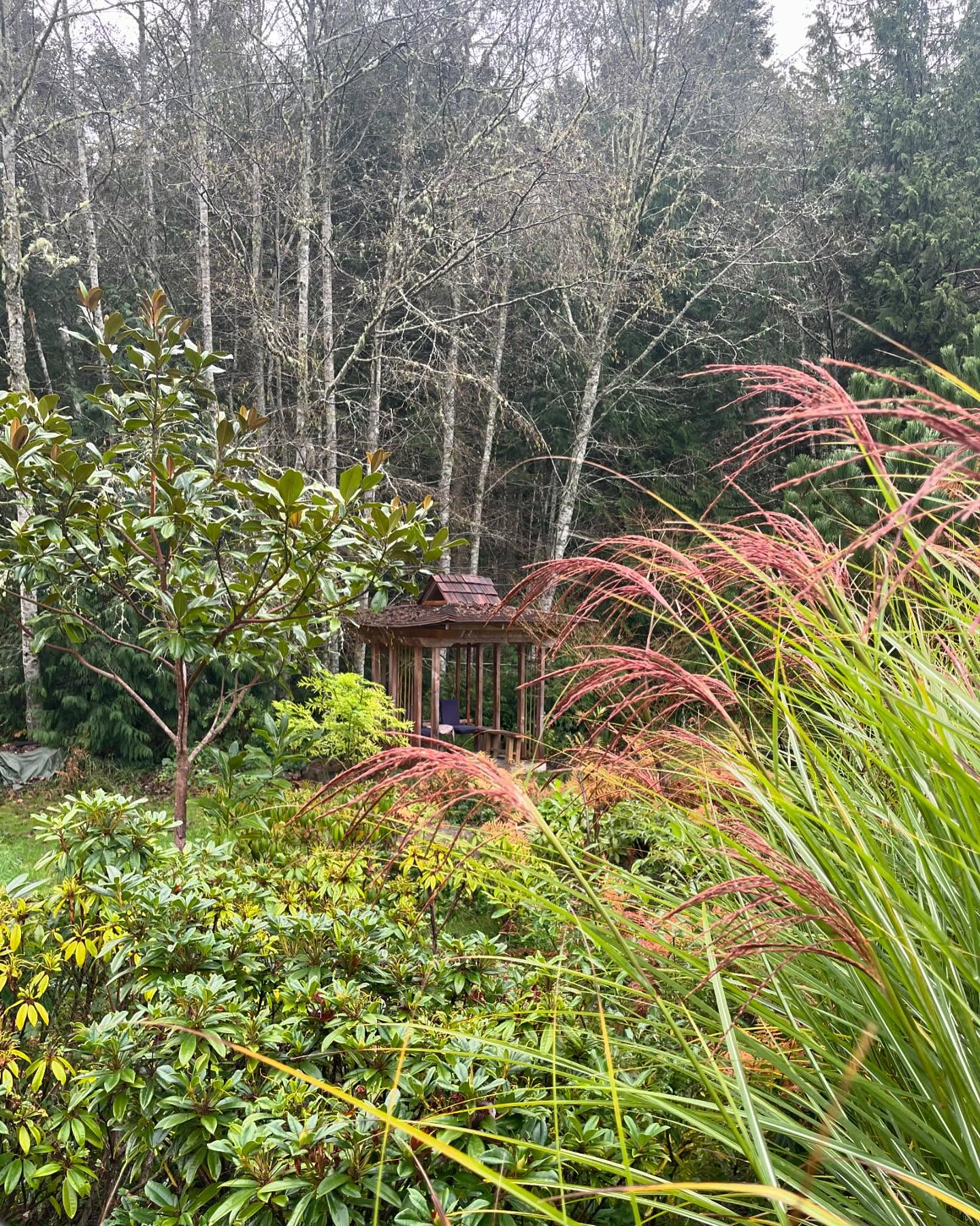 Lovely contrasts in the fall garden.
