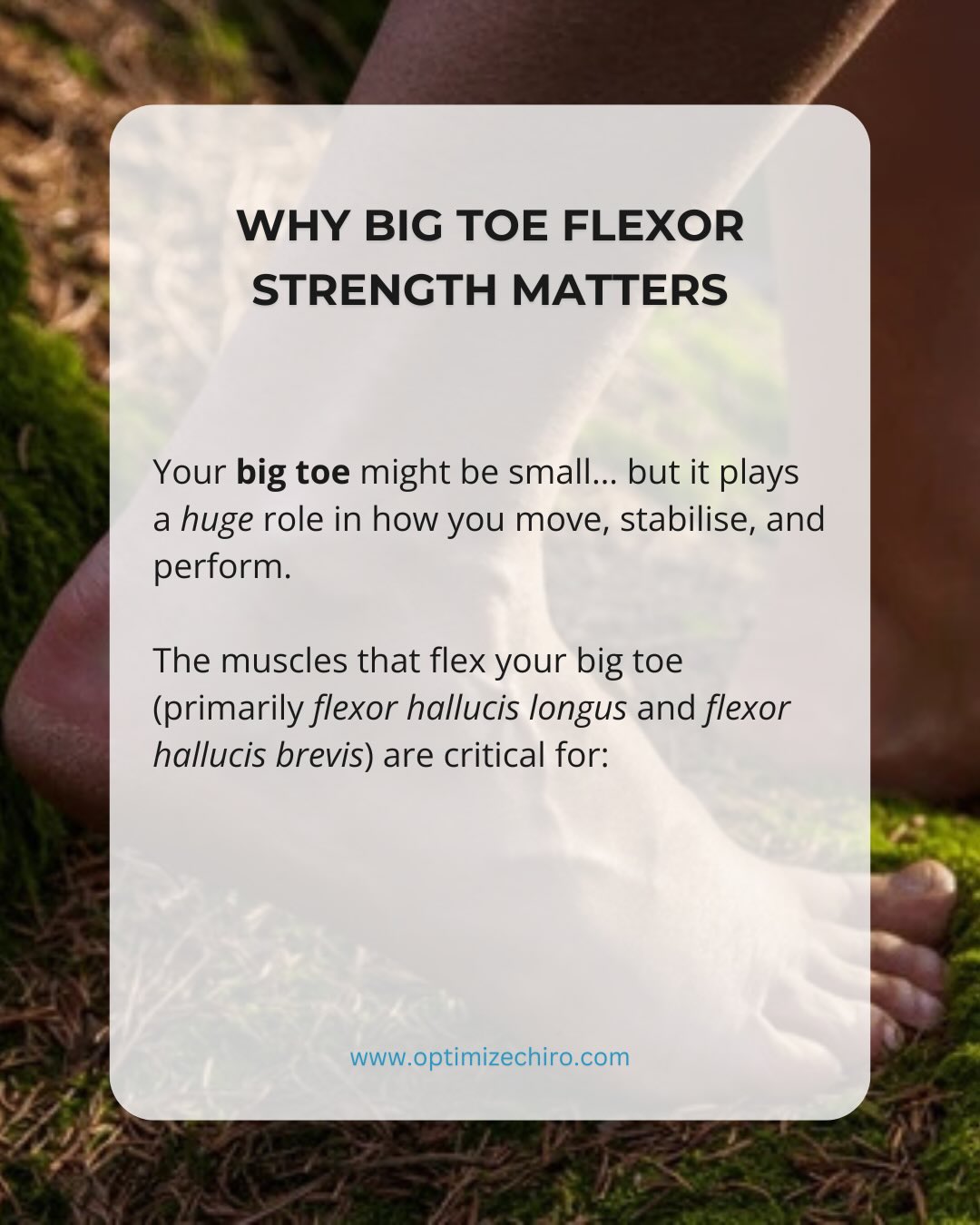Your big toe is doing more work than you think 👣
It’s a key driver of:
✔ Balance
✔ Stability
✔ Movement efficiency
✔ Injury prevention
Yet it’s one of the most overlooked and under-tested areas in rehab and performance.
At our clinic, we don’t guess—we measure toe strength objectively using dynamometry to guide rehab and track progress.
Because better data = better outcomes.
👉 If you’re dealing with balance issues, foot pain, or performance limitations…
start from the ground up.
📍 Book an assessment today
