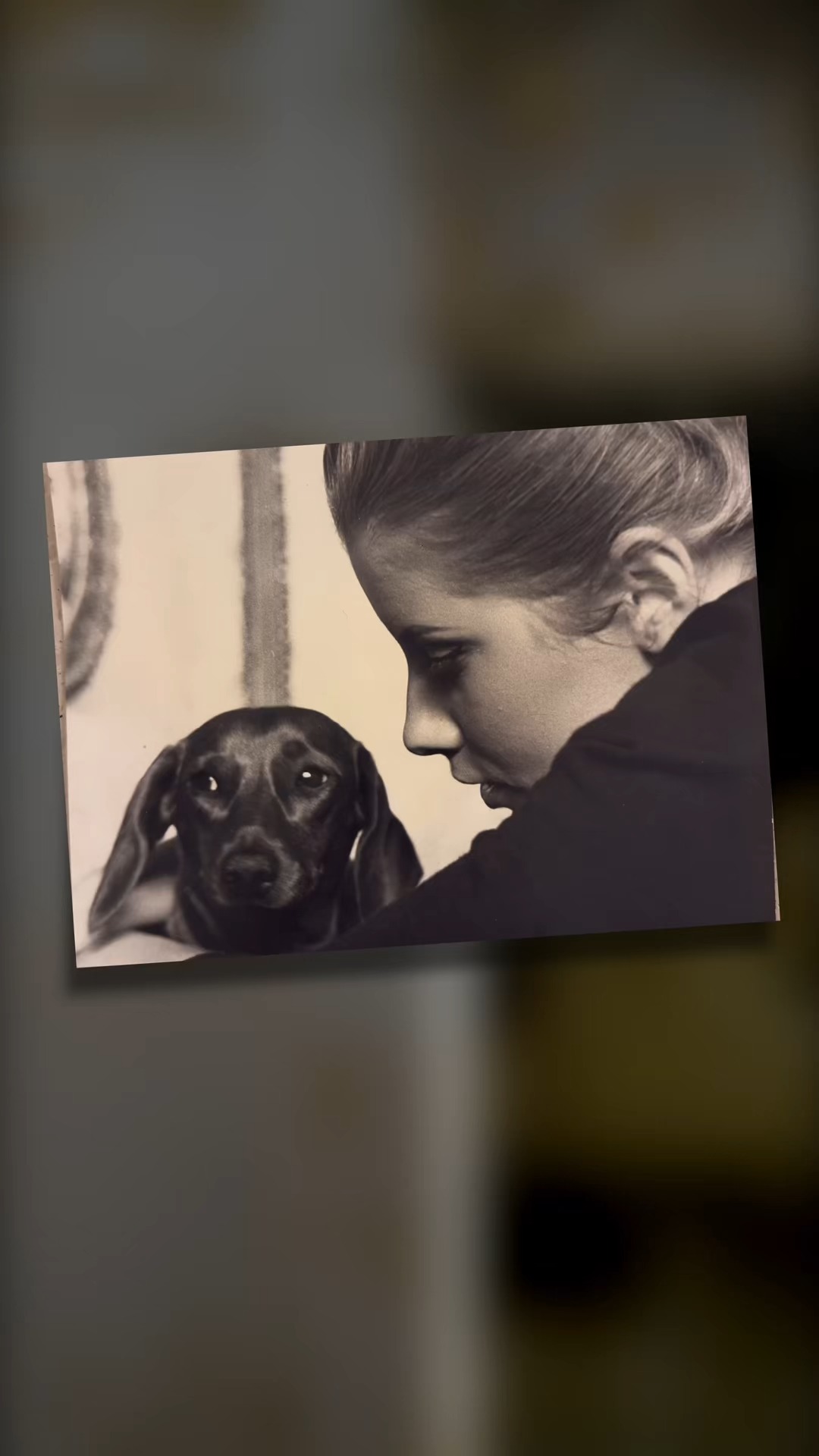 Some things run in the family. A love of dogs is one of them. 🐾
Grab your tickets and join us for the Prohibition Ball on 18th April in support of @mspca_malta: https://www.palazzoparisio.com/post/the-prohibition-ball