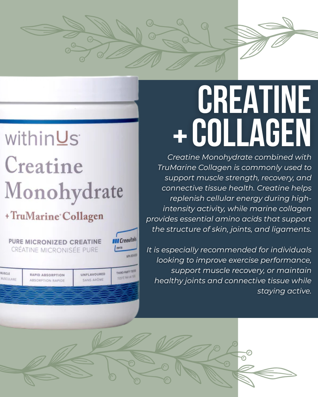 ‼️🚨 New Supplement Alert! 🚨‼️
We're thrilled to introduce a few withinUs products to our supplement lineup.
⭐️ Creatine Monohydrate + TruMarine® Collagen
⭐️ TruMarine Collagen + Magnesium
⭐️ Rehydrate + TruMarine Collagen (Lemon, Dragon fruit, and Tropical Flavor options)
withinUs is a female founded, Canadian based company that provides high quality supplements that support your health and hydration. 🤩✨
Please note that these products do contain fish, as their marine collagen is sourced from 100% wild-caught fish. 🐟
DISCLAIMER: These products are not endorsed by the Chiropractors' Association of Saskatchewan.