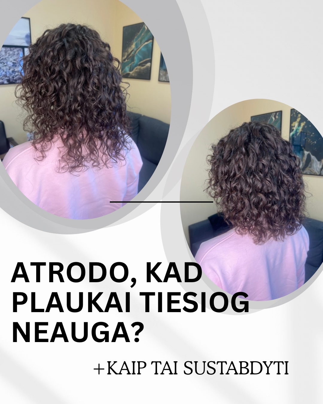 “Auginu plaukus, bet jie vistiek neauga…“
Skamba pažįstamai? 😔
Labai dažnai problema ne tame, kad plaukai neauga.
👉 Jie tiesiog nuolat lūžta.
Ir dažniausiai dėl:
– netinkamų priemonių
– per grubios rutinos
– karščio, dažymo ar priežiūros trūkumo
Todėl gali atrodyti, kad ilgis „stovi vietoje“.
Bet kai pradedi tinkamai prižiūrėti garbanas… ✨
viskas pasikeičia:
✔ mažiau lūžinėjimo
✔ daugiau apimties
✔ realiai matomas augimas
Nebereikia spėlioti, kas tinka tavo plaukams 🤍
💌 Parašyk MAN – padėsiu sudėlioti rutiną būtent tavo plaukams.
#garbanotasese #garbanotuplaukukirpimas #garbanotuplaaukuproceduros #garbanotuplaukuprieziura