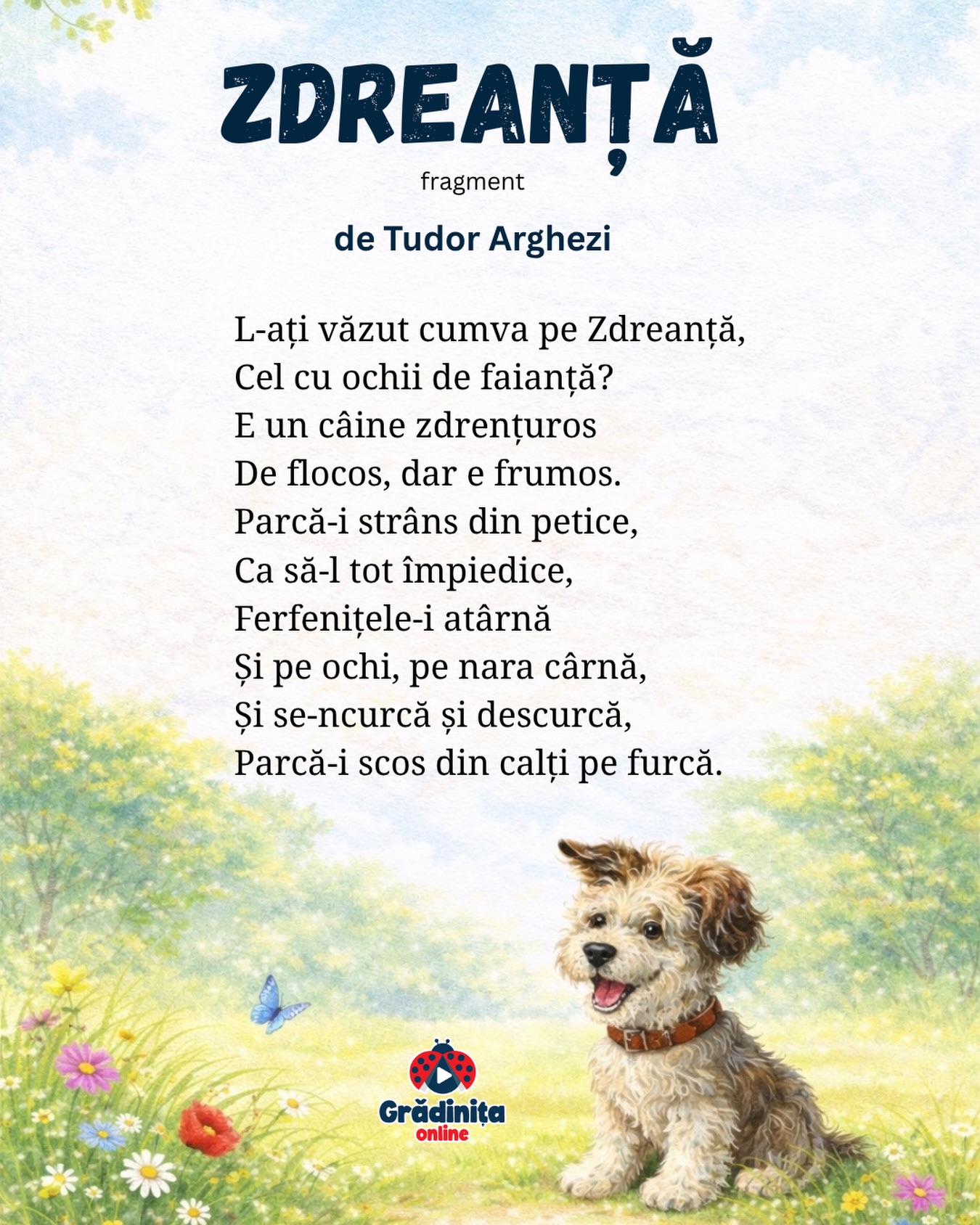 Zdreanță
(fragment)
de Tudor Arghezi
L-ați văzut cumva pe Zdreanță,
Cel cu ochii de faianță?
E un câine zdrențuros
De flocos, dar e frumos.
Parcă-i strâns din petice,
Ca să-l tot împiedice,
Ferfenițele-i atârnă
Și pe ochi, pe nara cârnă,
Și se-ncurcă și descurcă,
Parcă-i scos din calți pe furcă.
#poezii #poeziicopii #gradinitaonline