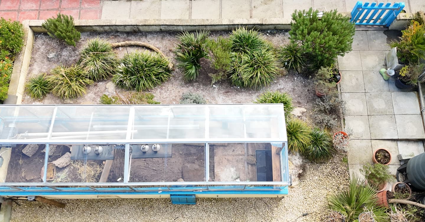 Here are some pictures of our enclosures! ✨ The first three are our eastern Hermann tortoise setup, and the fourth is our western Hermann tortoise setup. All are thermostatically controlled by @microclimatereptile Evo connected 3's. We also use @arcadiareptile Thermal Zoo Pros with upgraded bulbs (because of the lamp height!). Most of our animals are still emerging from brumation, but we expect them out over the next few days!🐢☀️ #Tortoises #Enclosures #Reptiles #Pets #Spring #Arcadia #Microclimate
#midlandtortoise #Tortoise #tortoisekeeper #tortoiseofig #tortoiseofinstagram #tortstgram #tortoiselife #reptilesofinsta #reptilesofig #repstagram #pets #reptile #schildkröte #reptileenclosures #tortoiseenclosure #tortoisesetup #tortoiseoutdoorsetups #arcadiareptile #microclimate #coldframe ukreptilekeepers #uktortoisekeeper #midlandtortoise #ukgarden