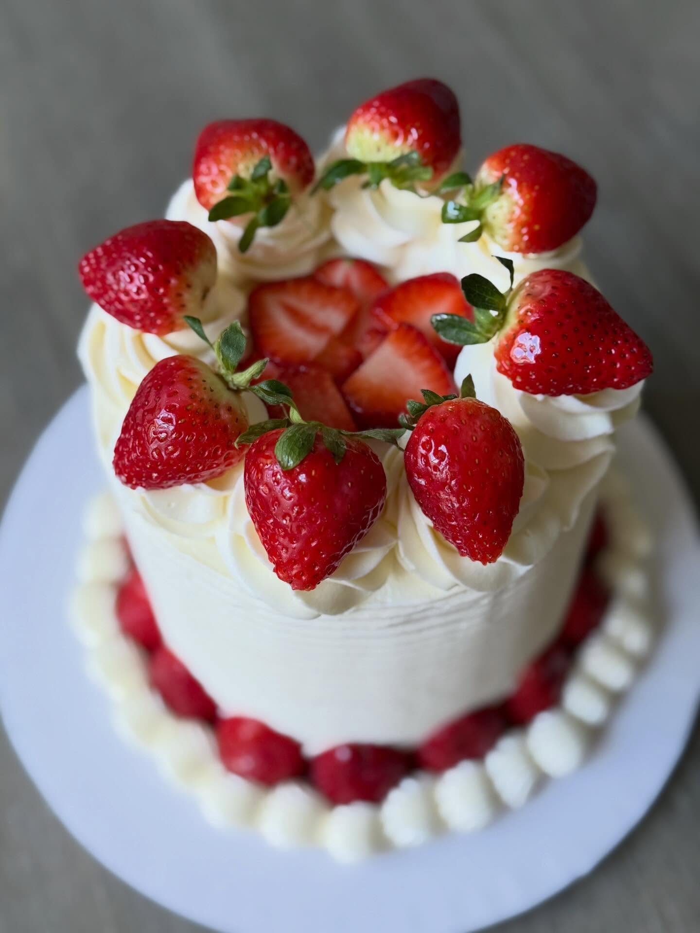 ๐๐๐๐๐ฐ๐ฐ๐ฐ๐ฐ๐คค๐คค