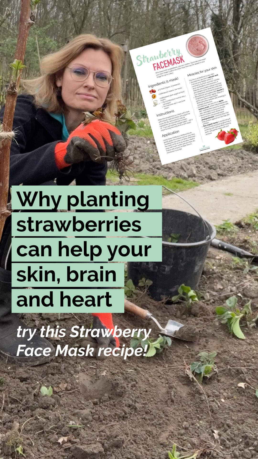 Store-bought strawberries are loaded with chemicals. (They are part of the dirty dozen. But if you plant your own, you’ll unlock the medicinal propperties that nobody is talking about!
Strawberries are packed with vitamins and minerals such as Vitamin C and K, folate, potassium, magnanese and magnesium. They are low calory, fiberrich and abundant in antioxdants and polyfenols, meaning strawberrie can support our heart, brain and skin.
So enjoy your own healthy heirloom organic strawberries and start experimenting. Try this easy facemask to rejuvinate and soothe your skin and let me know what you think.
Comment 'MASK' and the recipe will be on its way to you!
Are you ready to try?
Drop a 💚 if you like more recipes like this, and consider following me if you love living life naturally
#strawberries #strawberryfacemask #growyourown #medicinalgarden