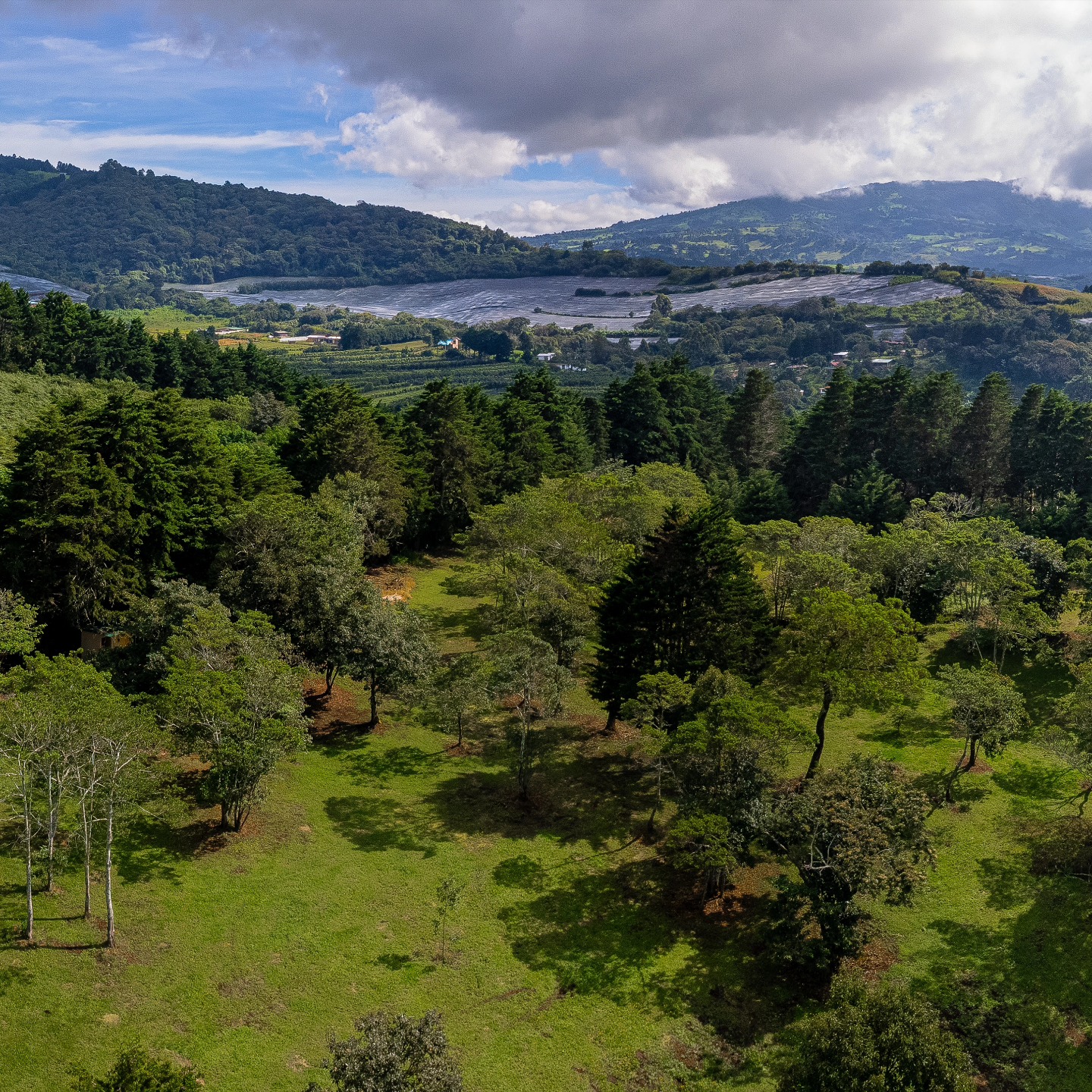 Swipe para más fotos!
Camping relax en @caprina_land
.
#camping #dji #djidrone #djidrones #djiair2s #air2s #dronephotography #landscapephotography #landscape #paisaje #volcanpoas