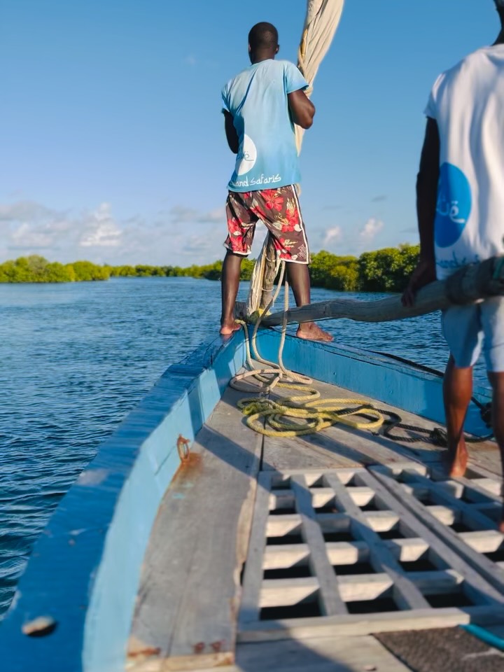 Sunset 🌅 in the mangroves
An extra special trip - it can only happen on the spring tides. It’s all in the timing. Ilha Blue crew have the deep knowledge and experience to make it perfect.
Sumaila mixes up a special cocktail to complement the experience…
🌿🍸Basilica Brasilica
Shaken with freshly cut organic basil grown in our roof garden in the heart of Stone Town.
#sunsetsail
#pordosol
#ilhademoçambique
#mozambiqueisland
@cafe.stonetown
