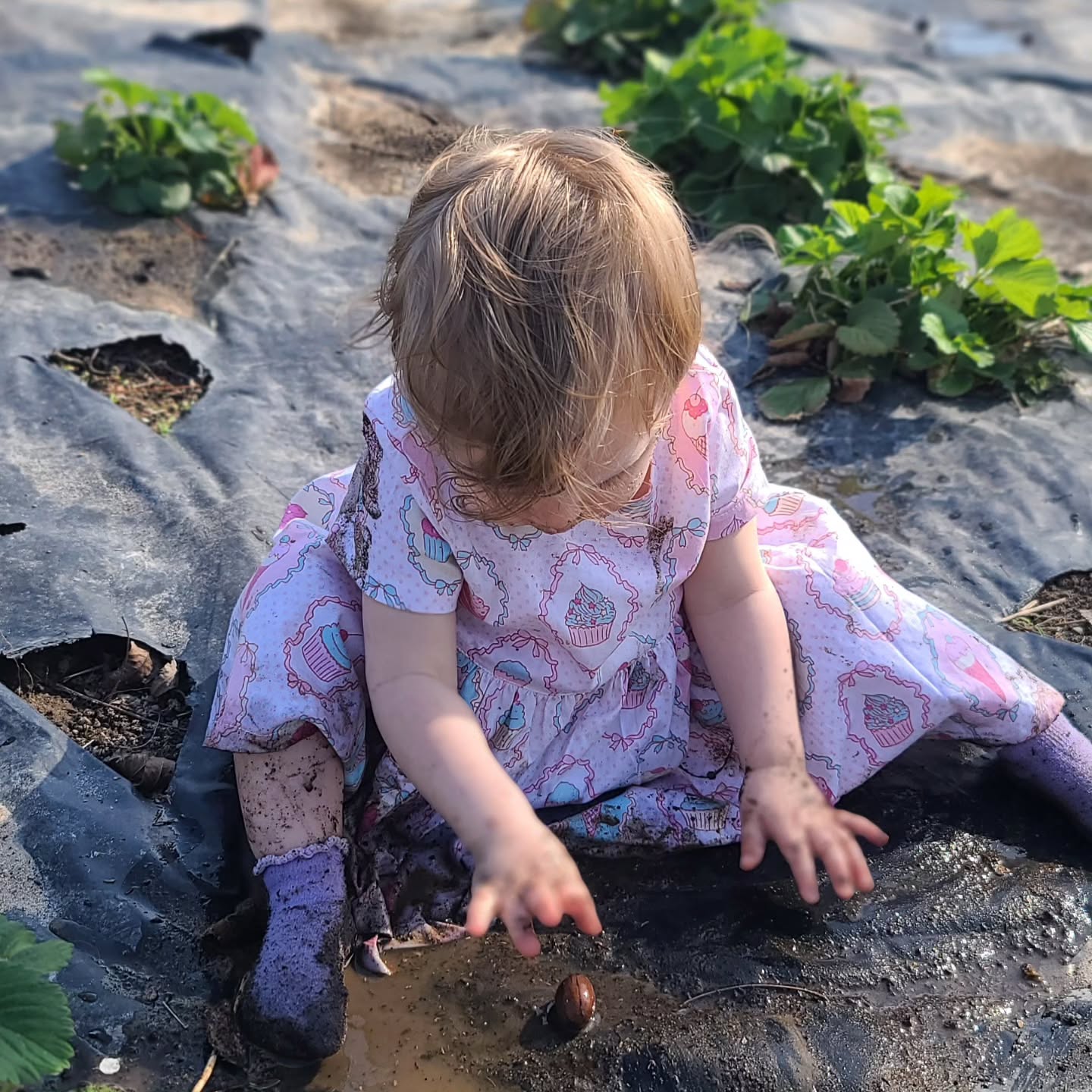 Well, she kept the dress nice most of the day at least. 😂😂😂😂