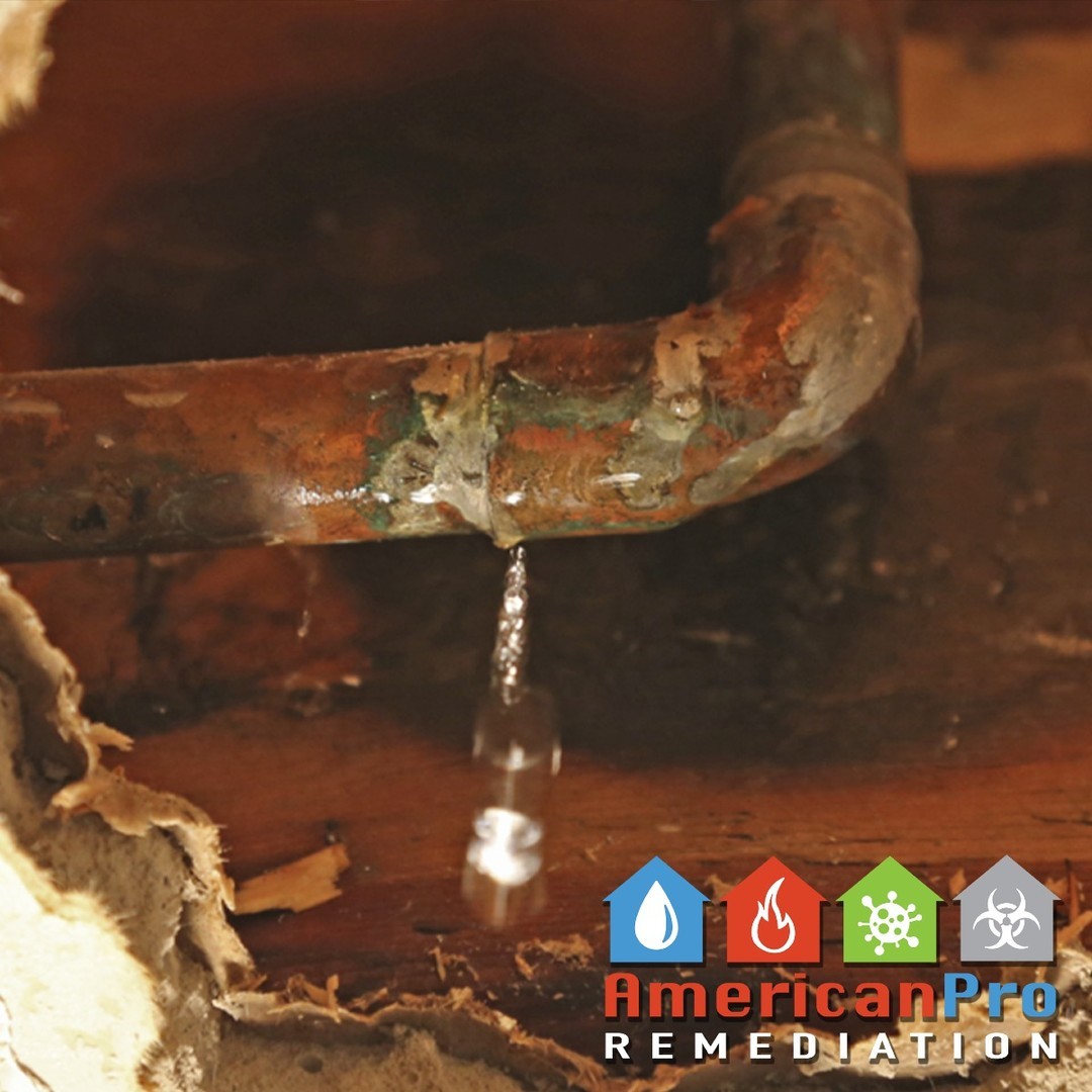 ❄️🌨️ Winter storm warning! With freezing temps on the horizon, your pipes could be at risk of bursting — leading to costly water damage. 💧🚨
Don’t wait until it’s too late! Here’s how to protect your property:
🛠️ Call American Pro Remediation to set up emergency plumbing and restoration services before the storm hits.
💧 If a pipe bursts, we’re ready to respond 24/7 with water removal, drying, and damage repair.
✅ IICRC-certified experts
✅ Emergency response team available around the clock
✅ Protecting your property and peace of mind
Be proactive and prepared. Let APR handle the risks, so you can weather the storm with confidence! 🏠💙
📞 Contact us today and stay ahead of the freeze!
#WinterStormPrep #BurstPipes #WaterDamageRestoration #EmergencyServices #FreezingTemps #DisasterRecovery #ProtectYourProperty #RochesterNY #TrustThePros #AmericanProRemediation