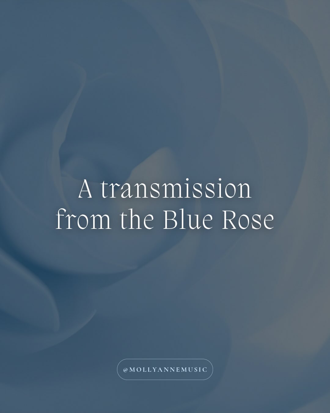 A transmission from the Blue Rose frequency 💙✨🌀
This felt important to share. For the full sonic transmission please go to my YouTube channel.
Love Molly xx
