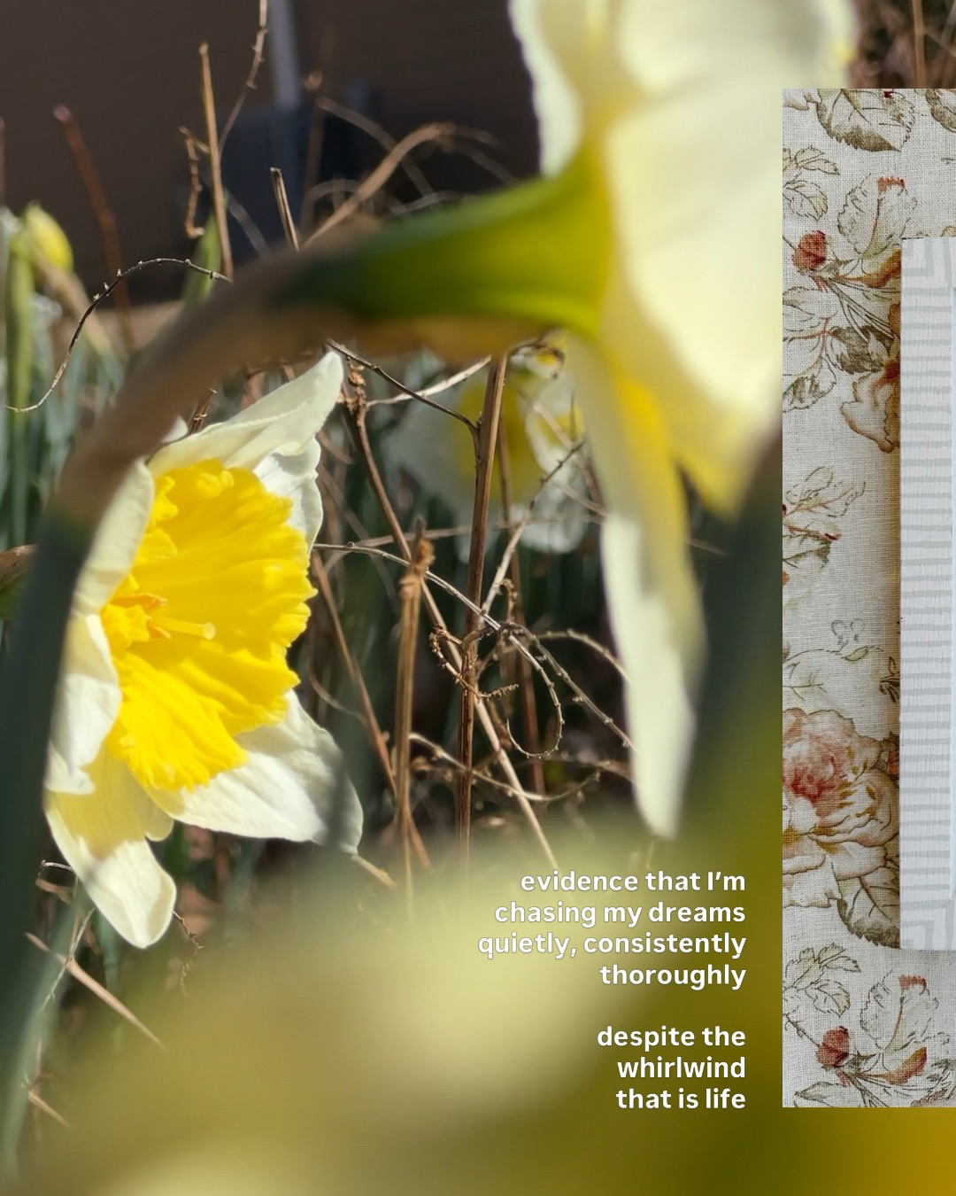 Just a few of my favorites 🤍 it’s easy to get caught up in the happenings of a busy life and forget about the little things that make your soul smile. For me that’s daffodils, and windchimes, and a thousand forgettable moments immortalized by my camera app. And painting, always painting.