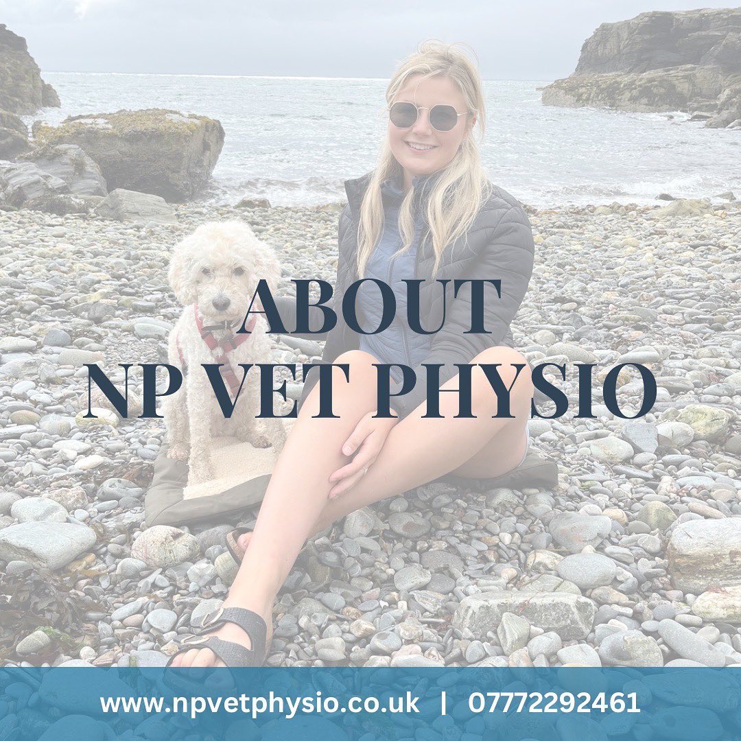 Hi ๐๐ผโโ๏ธ for those of you that are new here, let me introduce myself!
โช๏ธ My name is Nickie Percival and I am a Veterinary Physiotherapist. I am registered with NAVP and the AHPR. I treat dogs and horses in and around North Norfolk and the East Midlands.
โช๏ธ I love to be able to help animals, either feel better or just simply feel at their best, and I feel so lucky to be able to do so in my daily practice!
โช๏ธ I particularly enjoy working with dogs that have suffered neurological injuries, but love the variety that comes with treating both horses and dogs from so many different backgrounds and reasons.
โช๏ธ When not working I love to spend time with my family dog (Noodle ๐ถ), and horse (Raeya ๐ด), as well as countryside walks with friends and family that usually involve some tasty pub food ๐!
I would love to get to know you and your animals, feel free to introduce yourself below!
Nickie ๐ค
๐ www.npvetphysio.co.uk
๐ 07772292461
๐ง nickie@npvetphysio.co.uk
#vetphysio #veterinaryphysiotherapy #npvetphysio