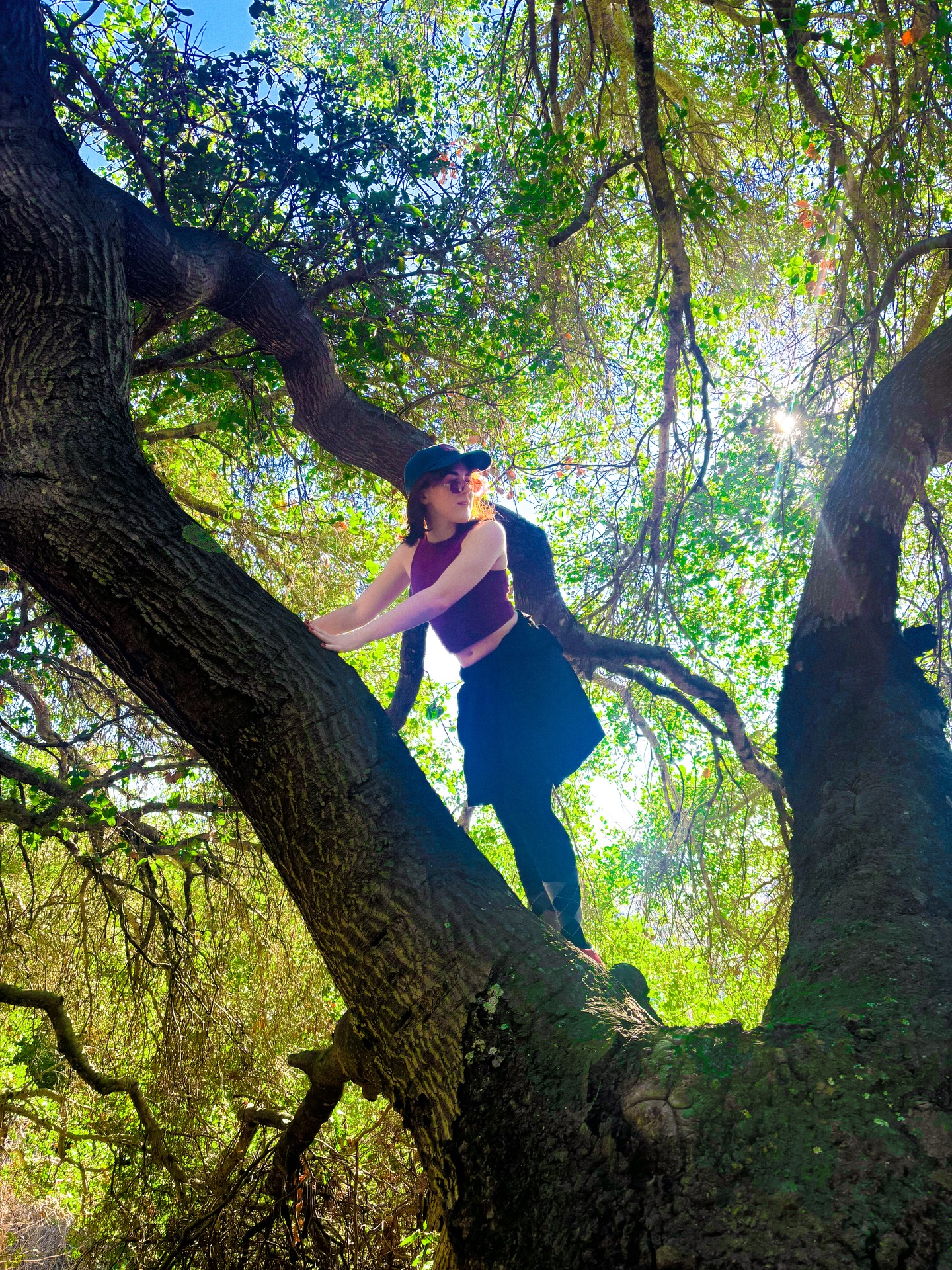 calitournia
(trying to catch up on the tour posting oops!)