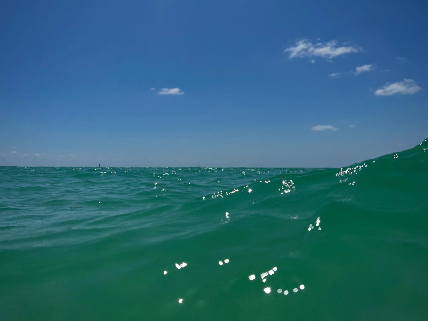 Love these blues! 💙