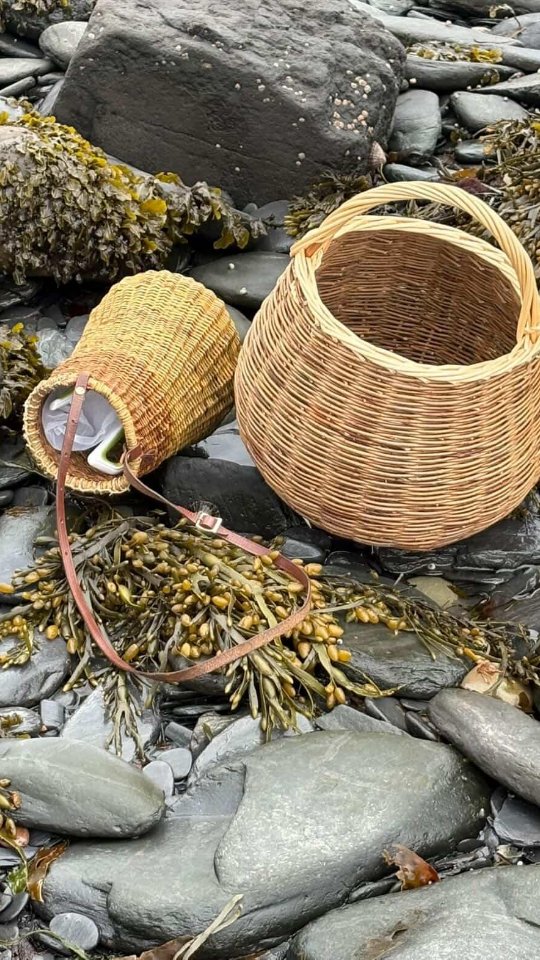 Seaweedy fun on the Isle of Luing 😎🙌🏽🪸
Big thanks to @faeheretaethere and the Atlantic Island Centre 😊👍🏽💙
I'll be back in July for some more foraged foodie action so get in touch if you'd like the details 🤠🌱🌸