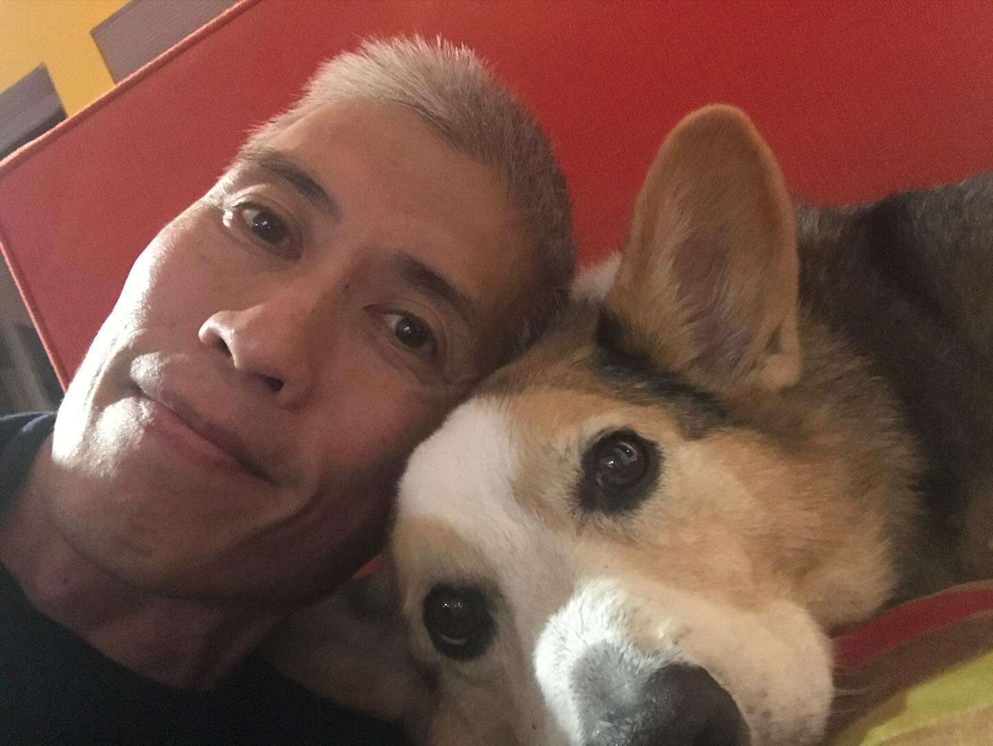 After almost 16 years of being the best boy ever, Cisco crossed his final finish line. Now on to a well-deserved rest. Rest in peace, little @cisquatch ❤️❤️❤️
..
..
..
..
..
..
#corgi #corgisofinstagram #runningmotivation #instarunners #runnersofinstagram #runcoach #trailrunning #triathlontraining #triathloncoach #swimbikerun #trilife #ironmantraining #ironmancoach #triathlete #teamzoot #teamzootpnw #thebeatcoaching