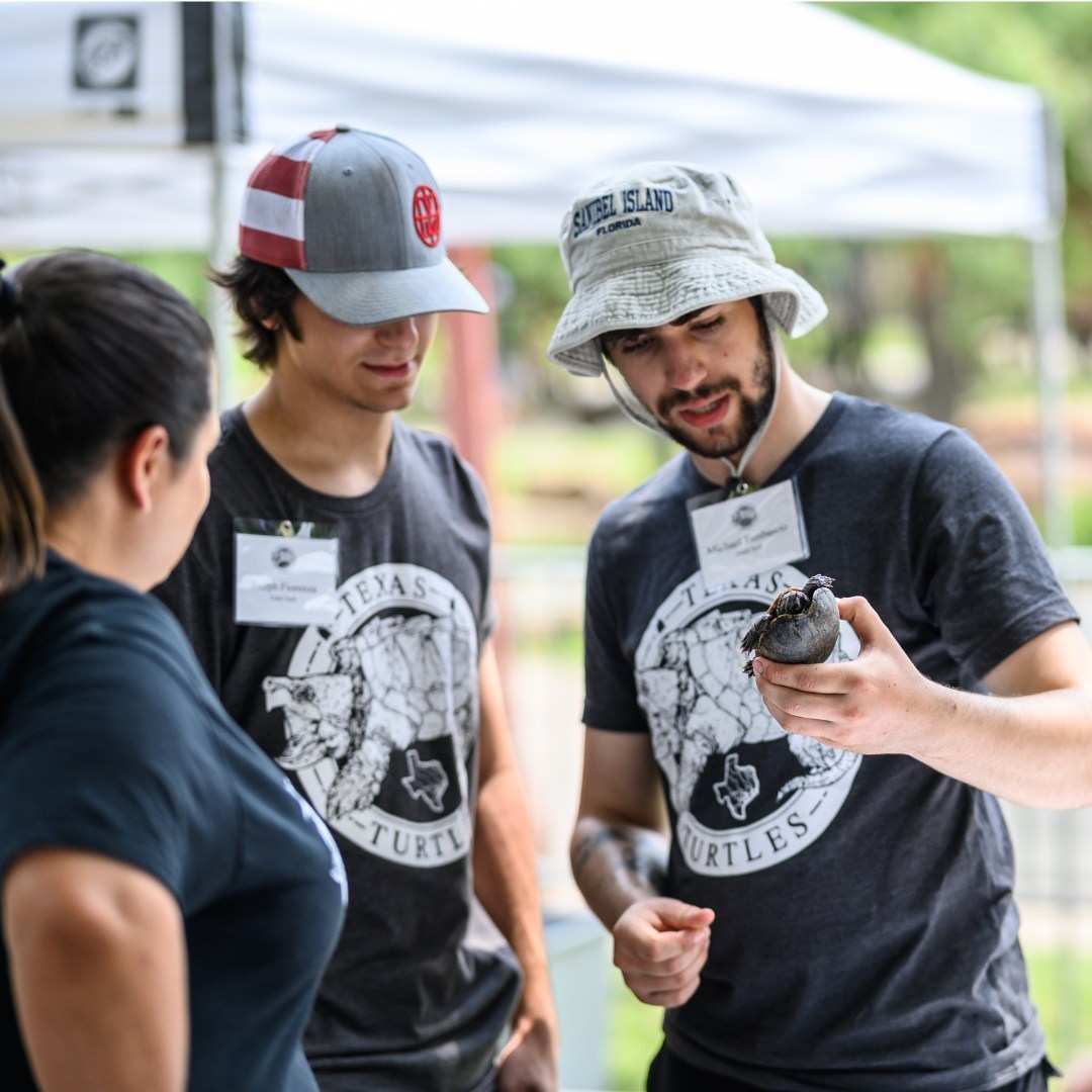 Slow down and celebrate Texas Turtle Day with us this weekend at Fair Park! 🐢🌳 This Saturday, May 20 at 10am!
Join us for a free day of family-friendly activities, crafts, and games as we learn about these fascinating creatures and their role in the ecosystem 🌊 Plus, get a chance to meet real-life turtles up close and personal! It's a day full of fun and learning that you won't want to miss. See you there! #TexasTurtleDay #FairParkDallas