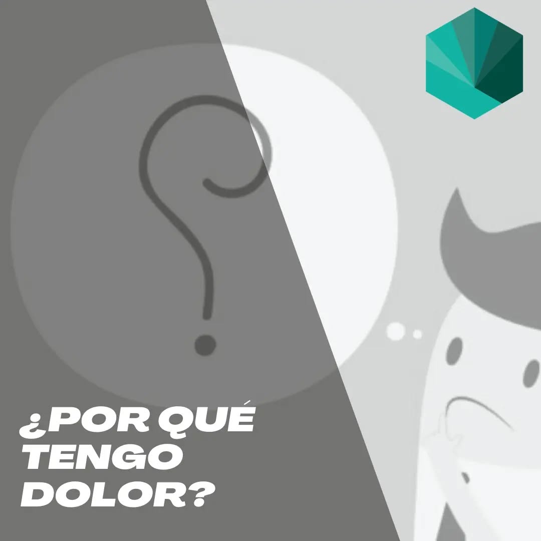 🤔 ¿Por qué me duele?
❓❓Hoy os traemos algunas preguntas que os podéis hacer desde casa para tratar de averiguar por qué ha parecido ese dolor.
Como sabéis, esto es MUY IMPORTANTE tanto para el tratamiento como para evitar que nos vuelva a ocurrir en un futuro.
Una de las causas más habituales son los cambios en el uso o en la carga! Arriba os dejamos información sobre ello!
Esperamos que os guste y os sea de utilidad! ☺️