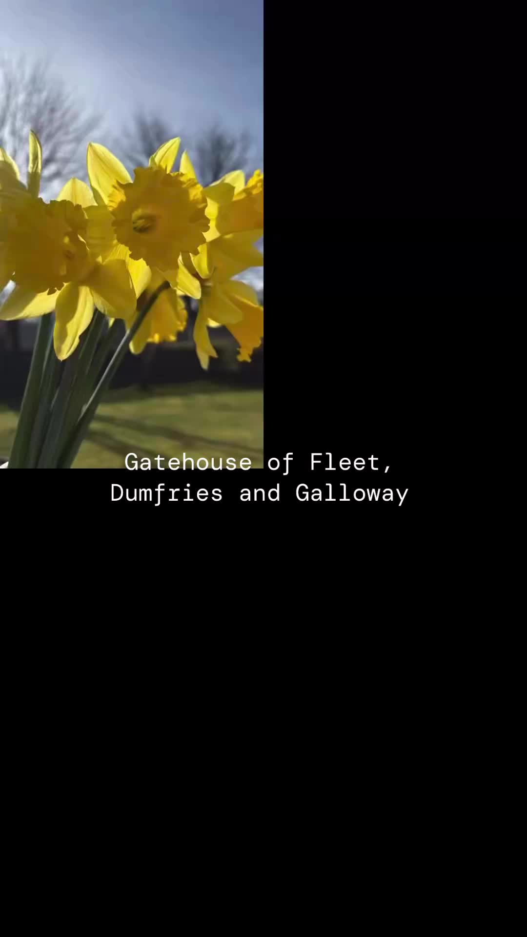 Y O U R destination is #gallowayview 🌱 #hellospring #changingseasons #makeplans #wheremagichappens